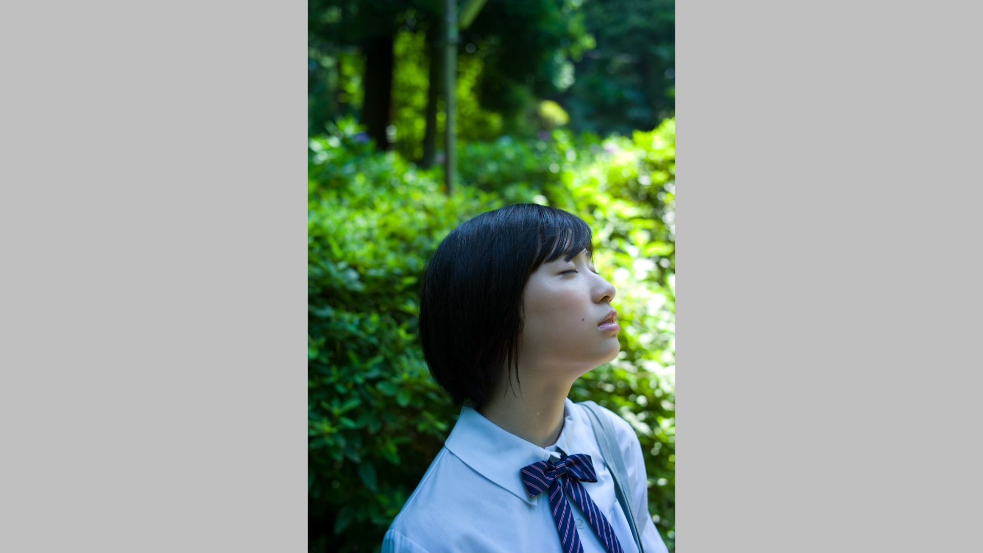 相楽樹/相乐树《鎌倉ものがたり》 [Image.tv]