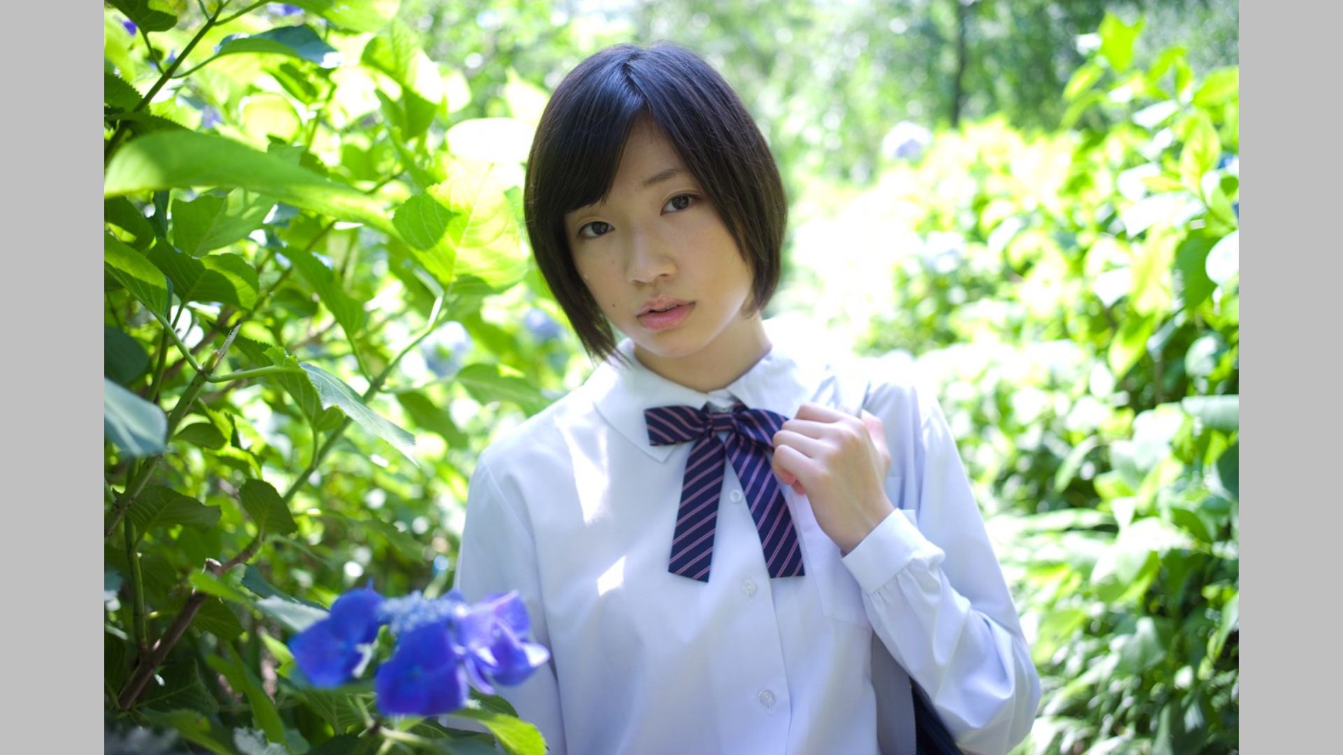 相楽樹/相乐树《鎌倉ものがたり》 [Image.tv]