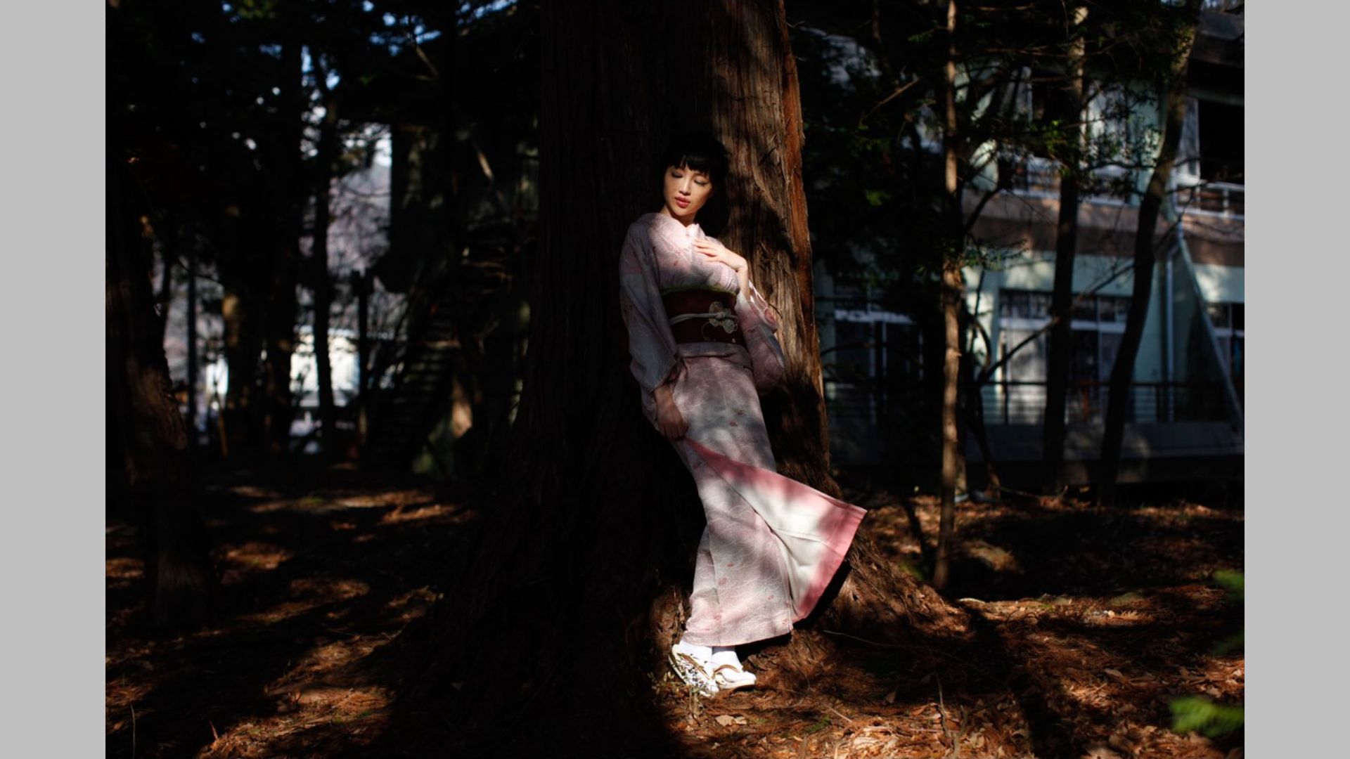 森下悠里《咲き誇る美しい花》 [Image.tv]