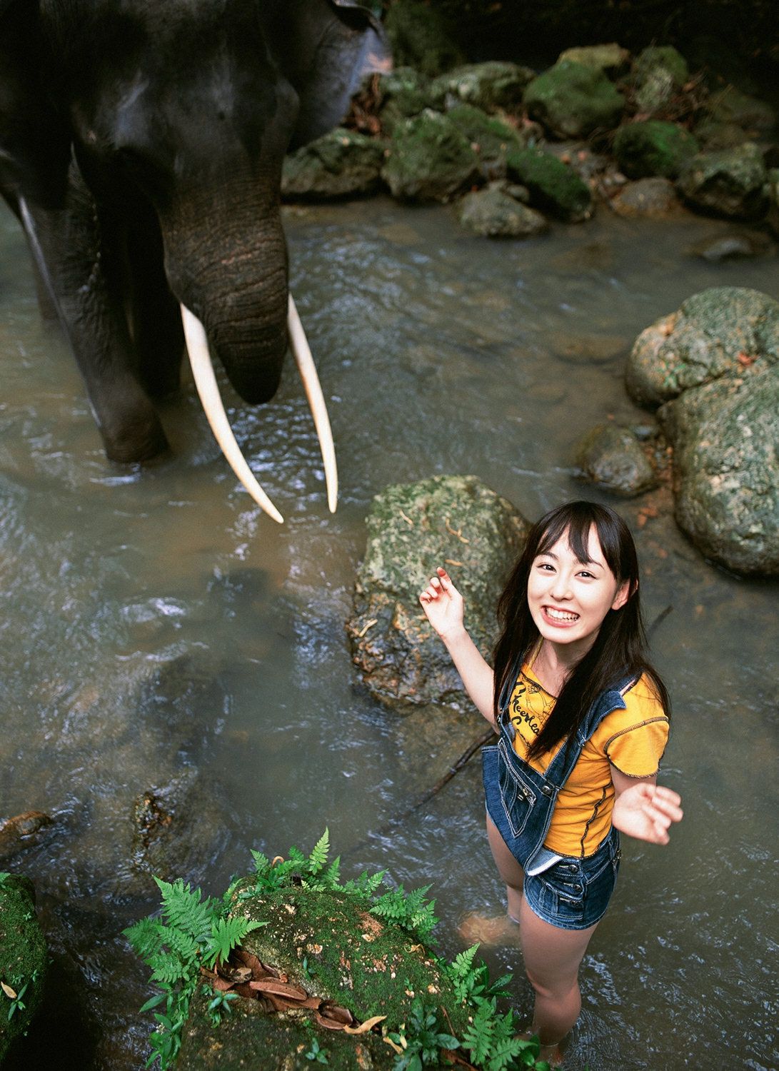秋山莉奈《热帯、美少女、ハプニング!!!》 [YS Web] Vol.215
