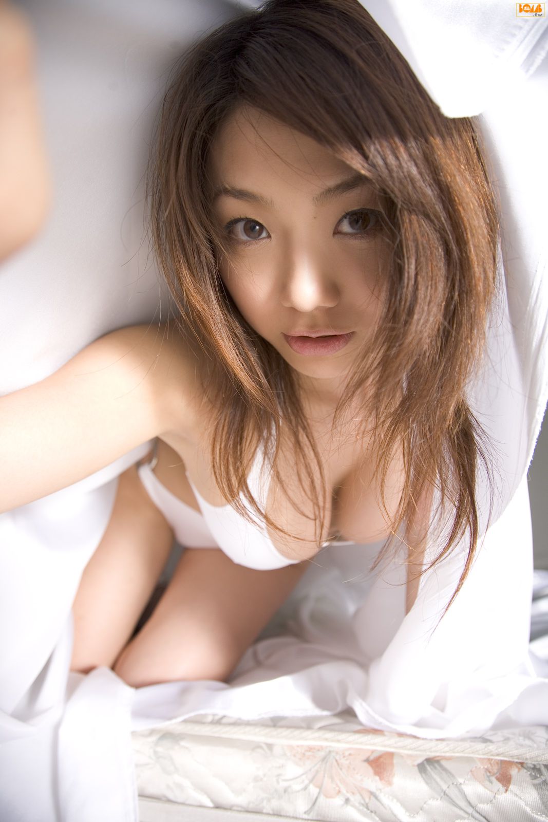 堀田ゆい夏/相泽仁美/白鳥百合子《Bakunyu Bjio Special》  [Bomb.TV] 2006年11月刊