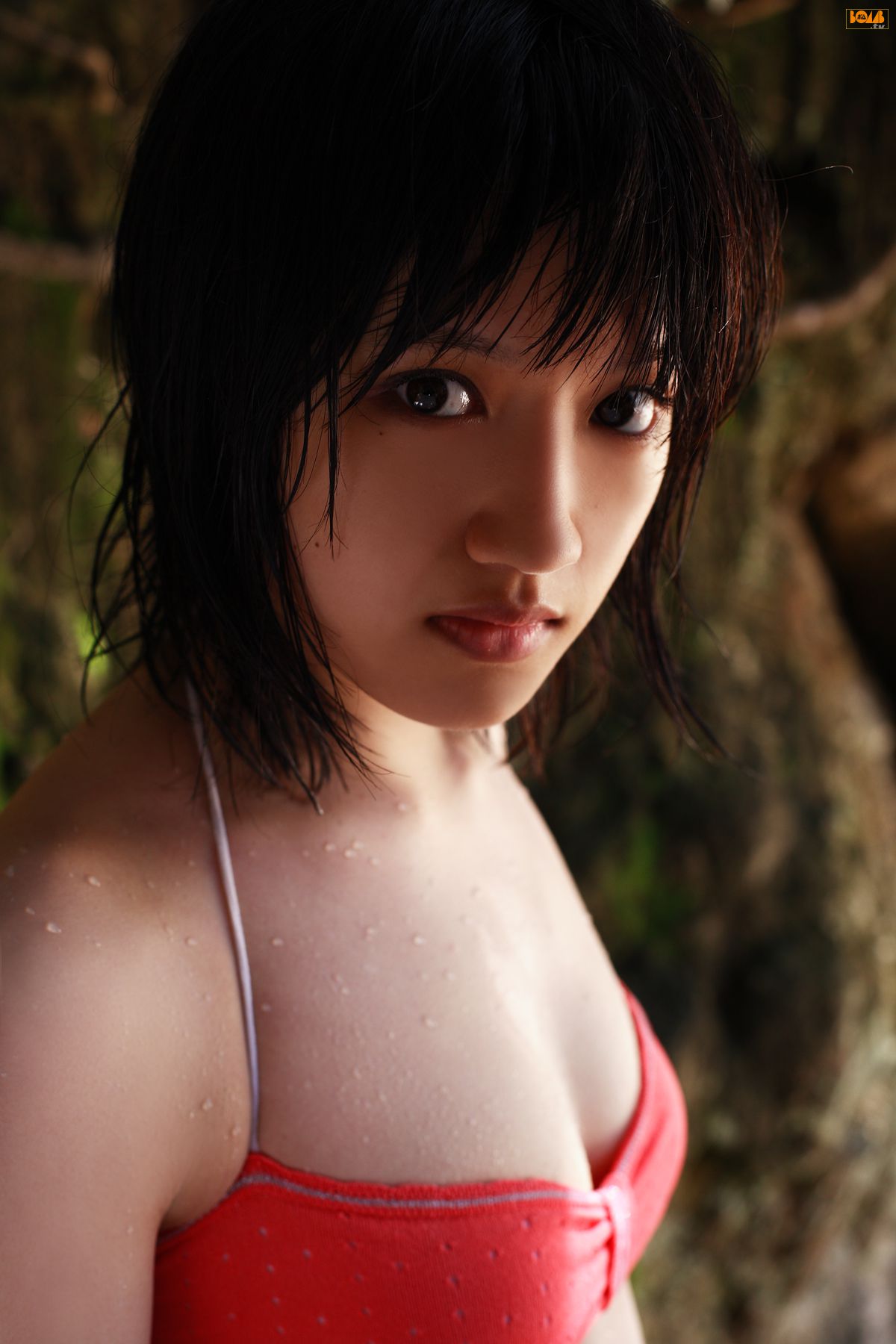 三浦葵/三浦萌《The Miura Sisters》  [Bomb.TV] 2009年11月刊