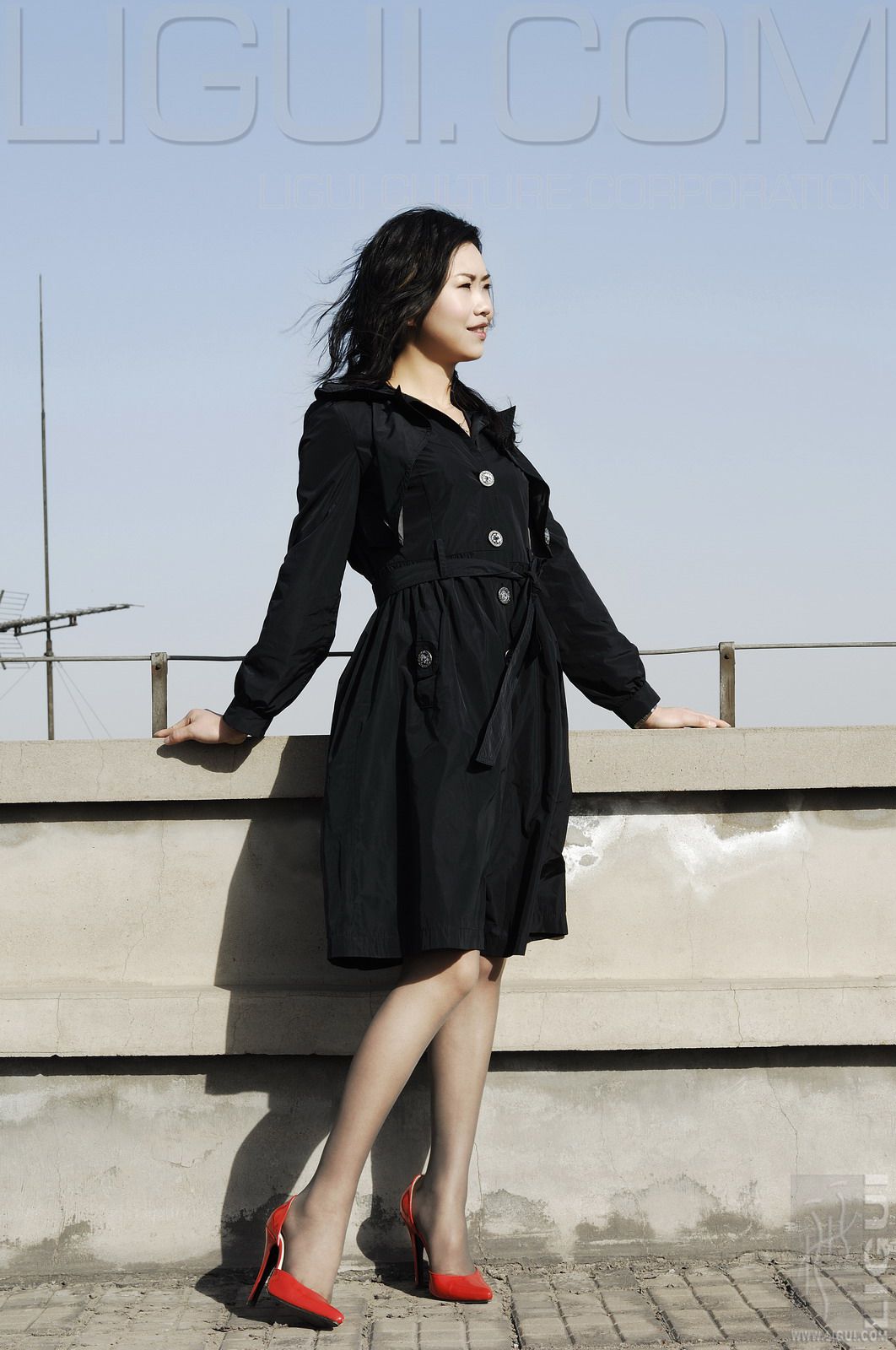 [丽柜LiGui] Model 程海伦《紅與黑》丝足写真图片