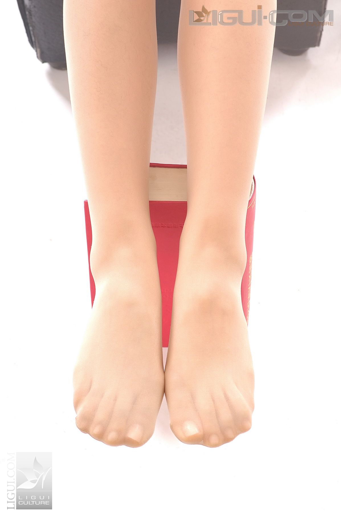 Model 海伦《风情交际花丝足秀》 [丽柜LiGui] 丝足写真图片