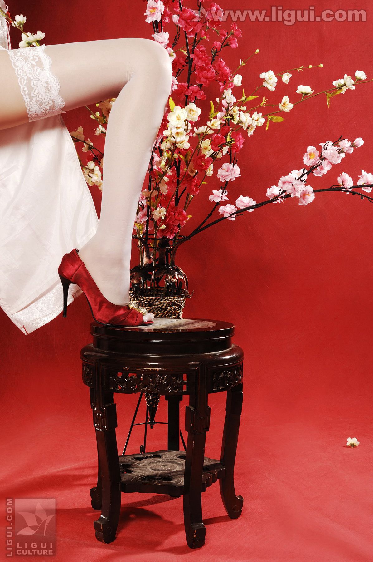 [丽柜LiGui] 《丽柜模特这里给您拜年了》 新年特刊丝足写真图片