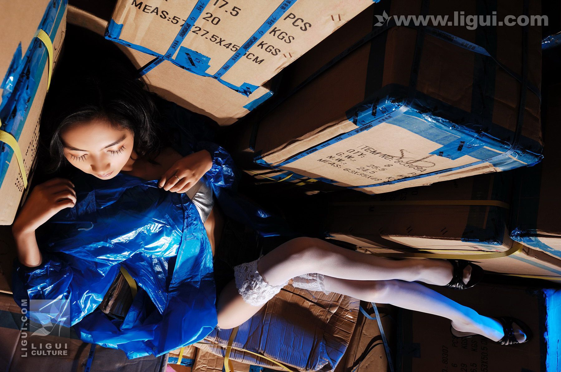 Model 丝丝《误入仓库猎艳白丝性感尤物》 [丽柜LiGui] 丝足写真图片