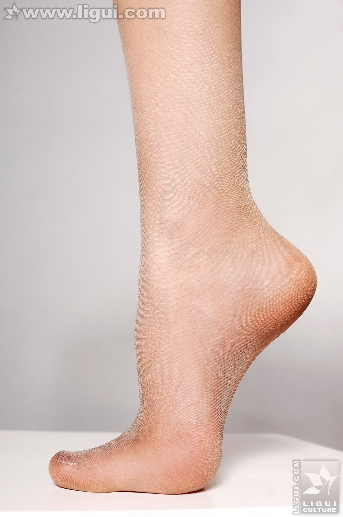 Model 文欣《职业美女诱惑下高贵姿态》 [丽柜LiGui] 美腿玉足写真图片