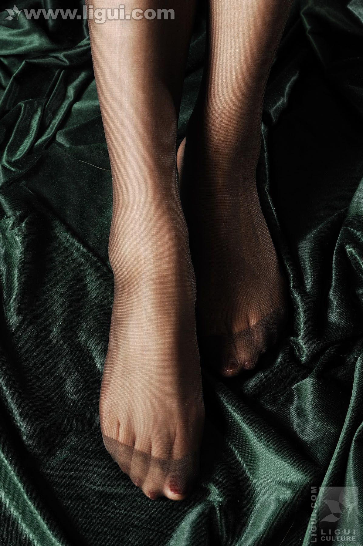 Model Cherry《时尚世界的新宠儿》 [丽柜LiGui] 美腿玉足写真图片