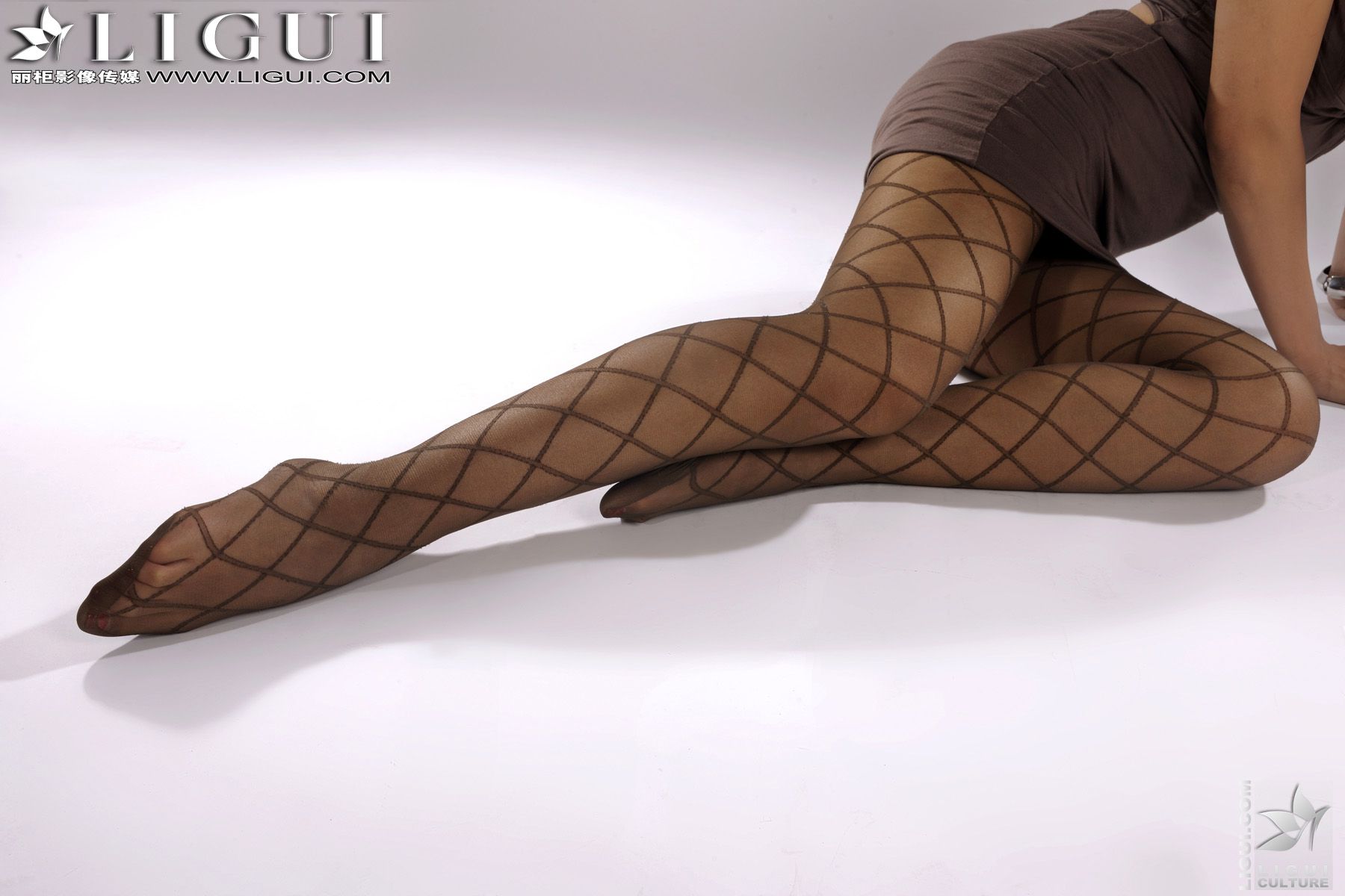 Model 田甜《网丝的诱惑》 [丽柜LiGui] 美腿玉足写真图片