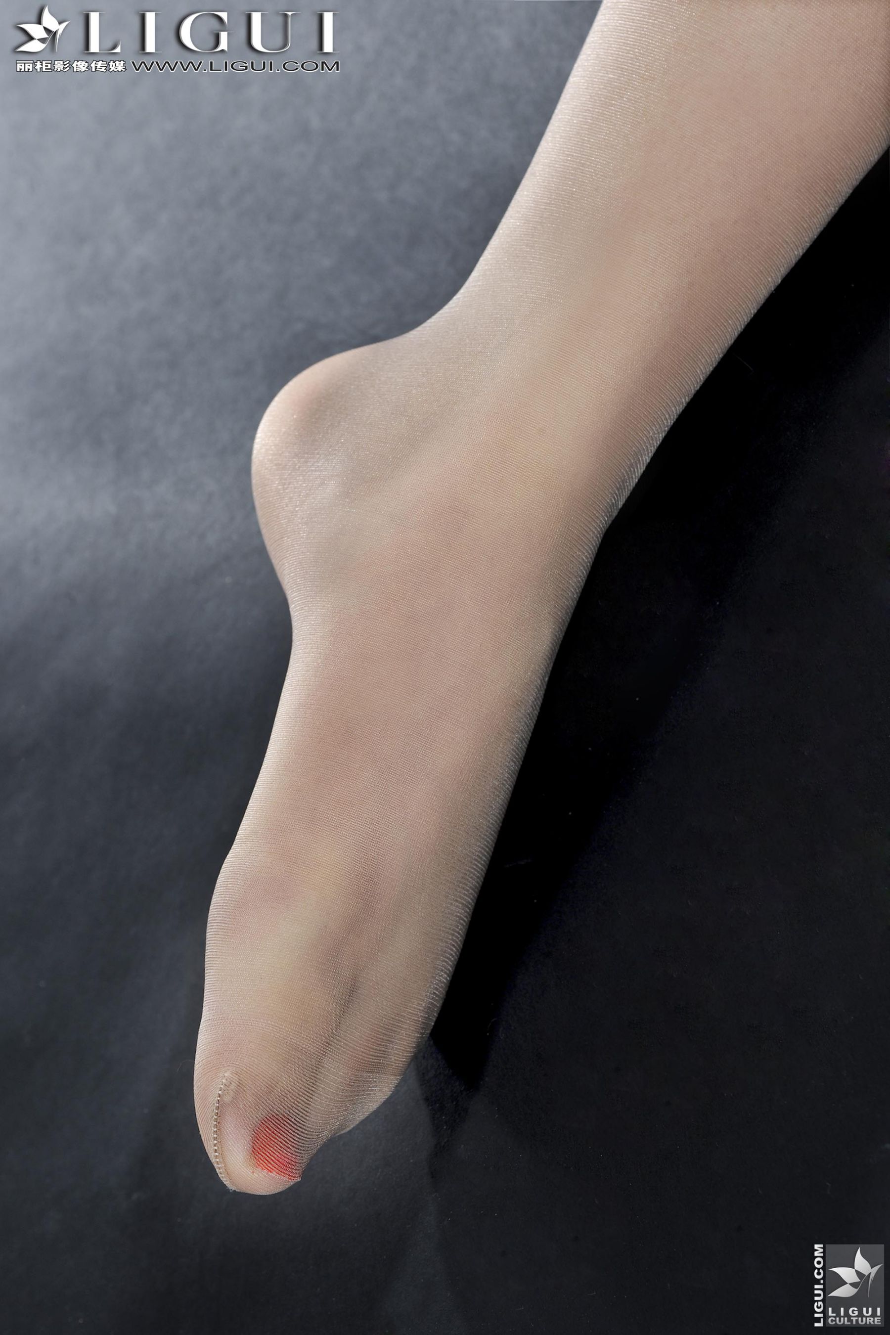 Model 岚岚《OL职业装丝足》 [丽柜LiGui] 美腿玉足写真图片