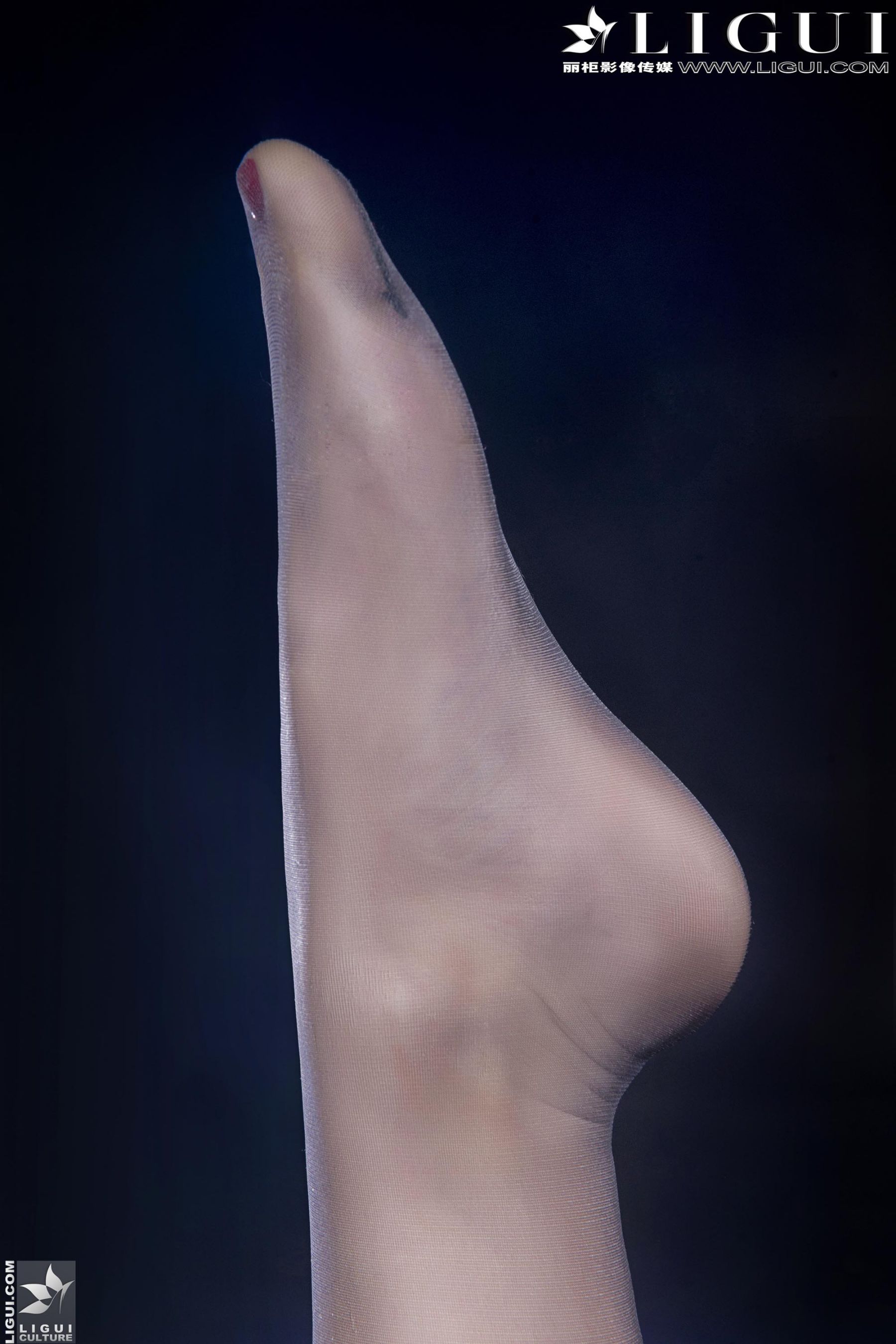 [丽柜LiGui] Model 安娜《黑丝高跟美足》美腿丝足写真图片