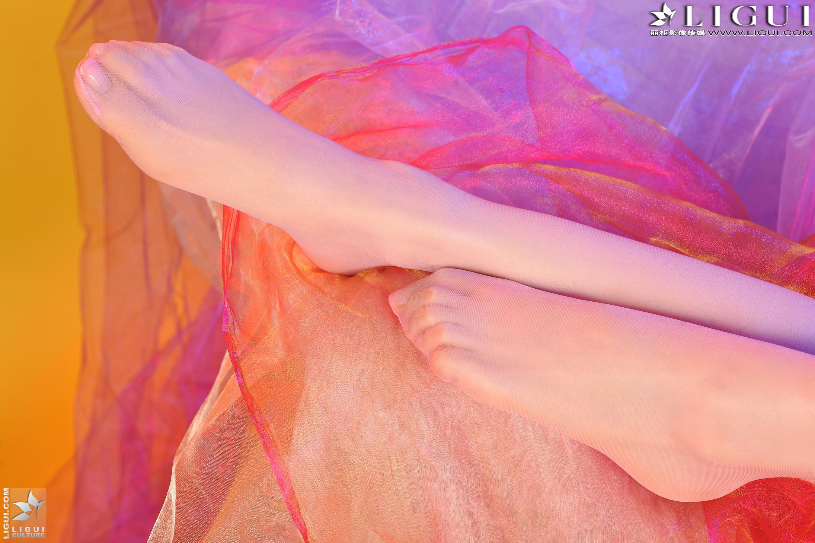 Model 美辰《红高跟兔女郎》上下全集 [丽柜贵足LiGui] 美腿丝足写真图片