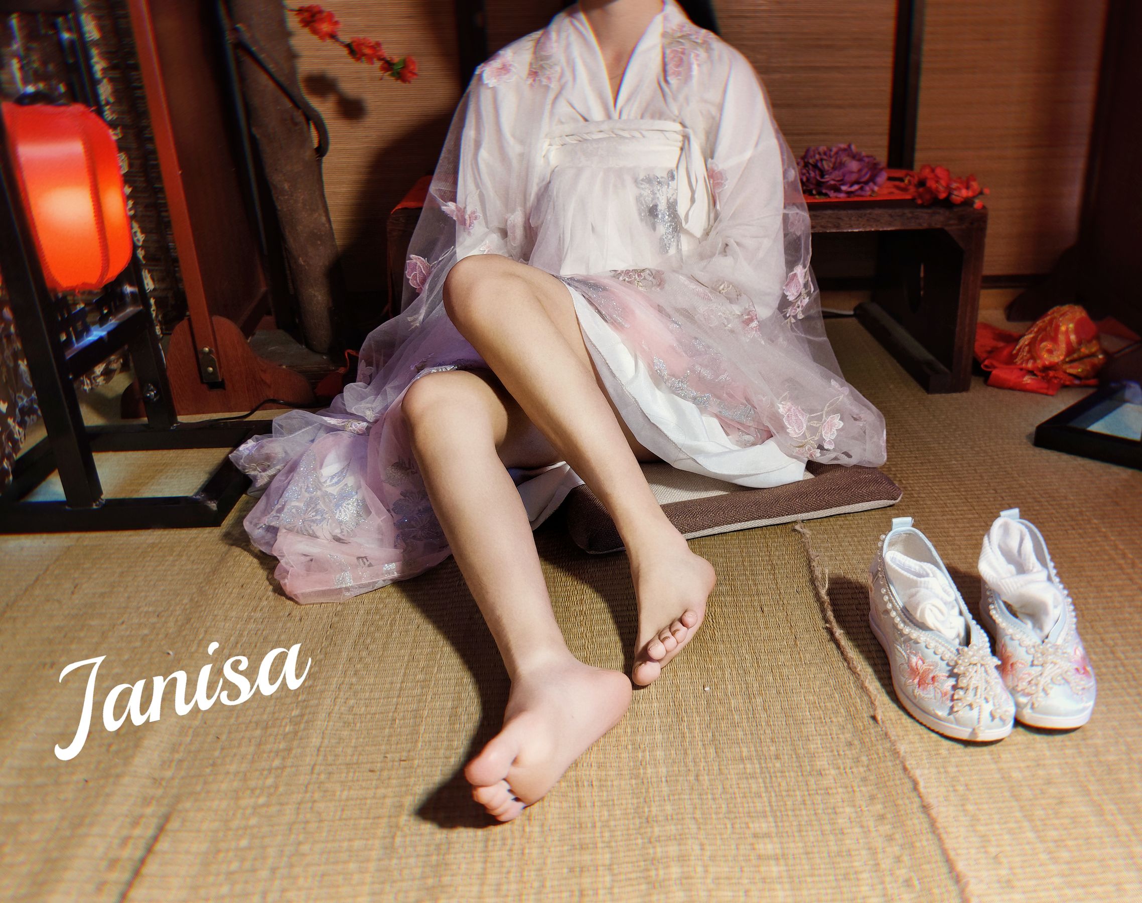 Janisa - 朝花向晚