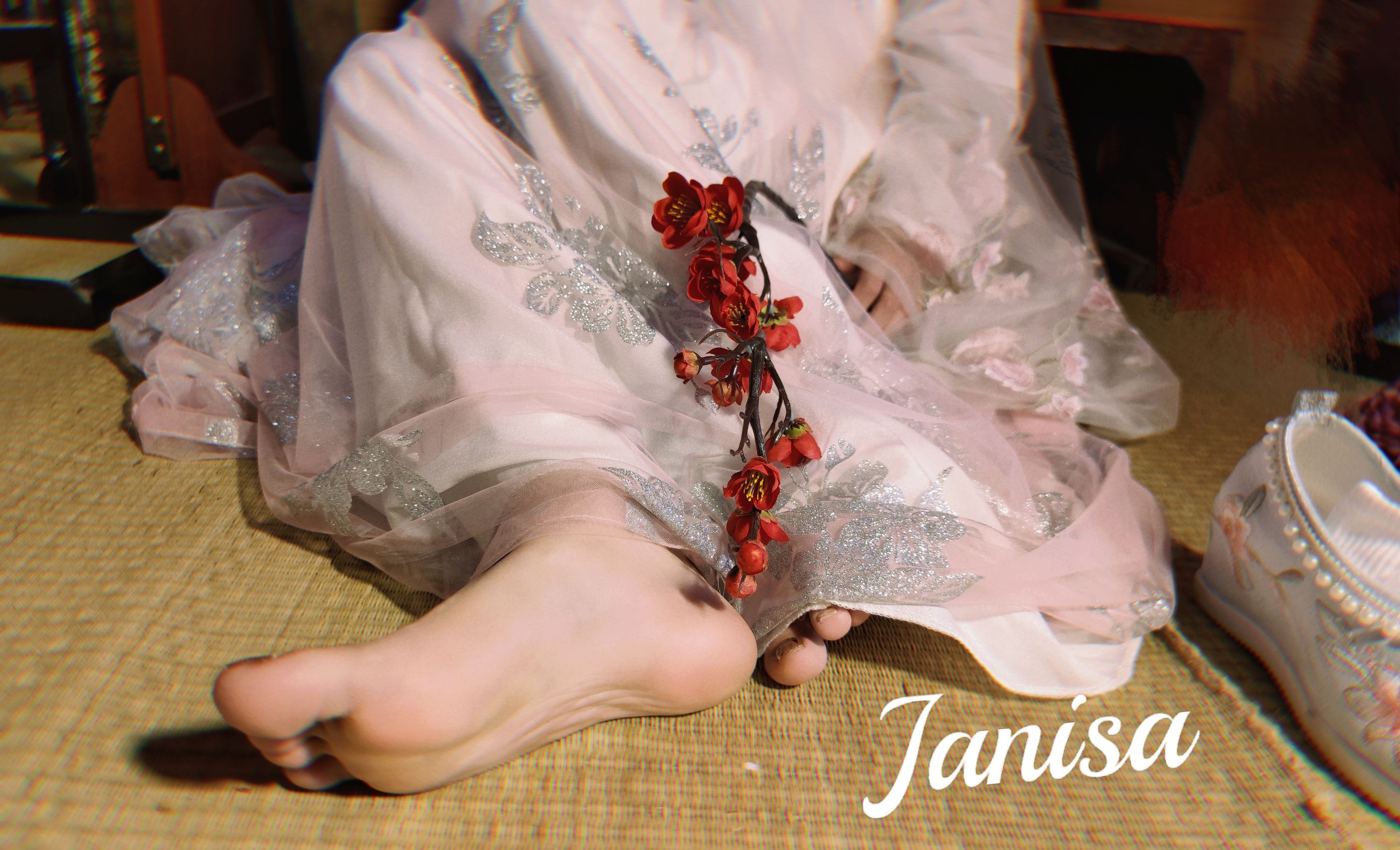 Janisa - 朝花向晚