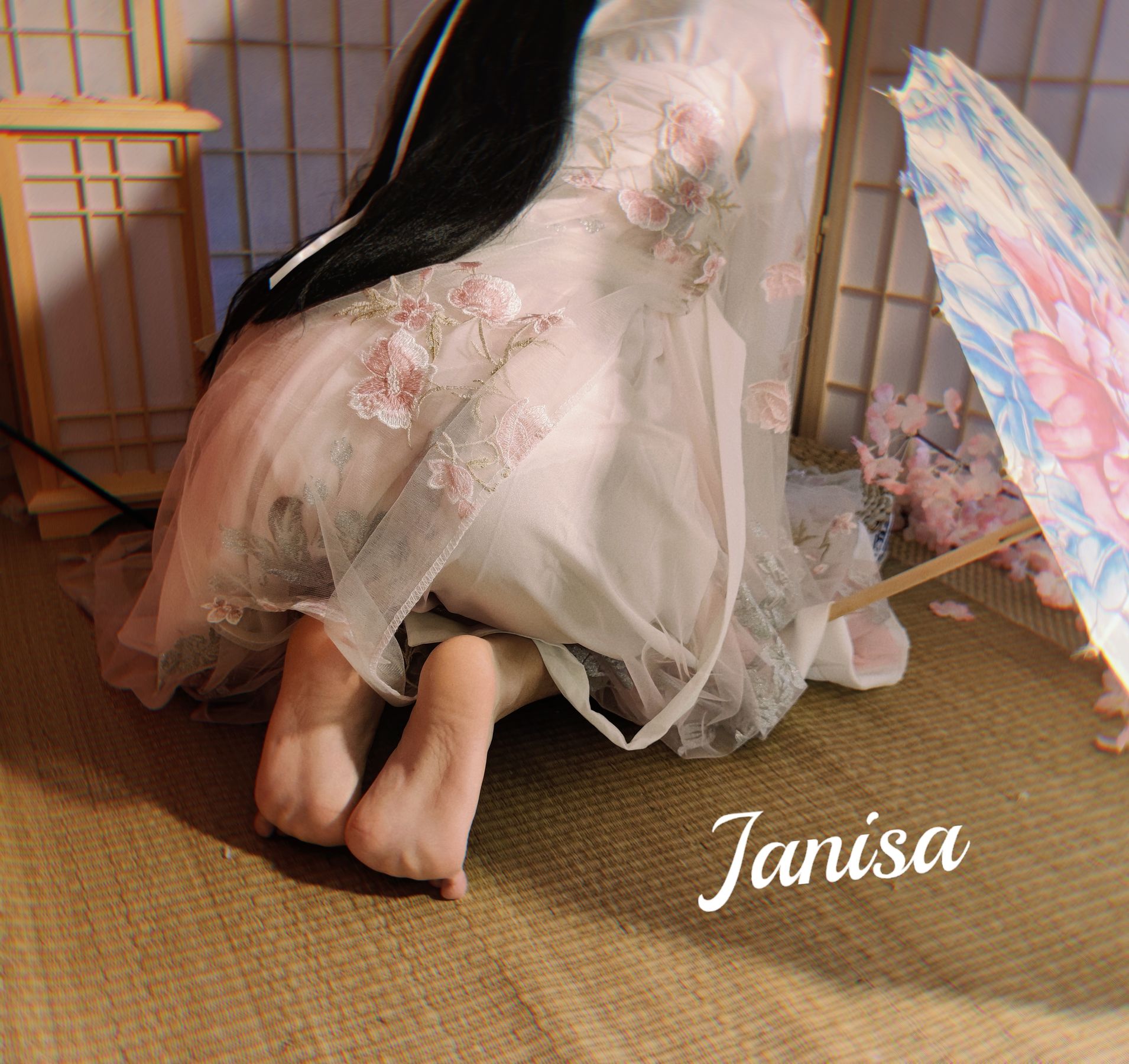Janisa - 朝花向晚