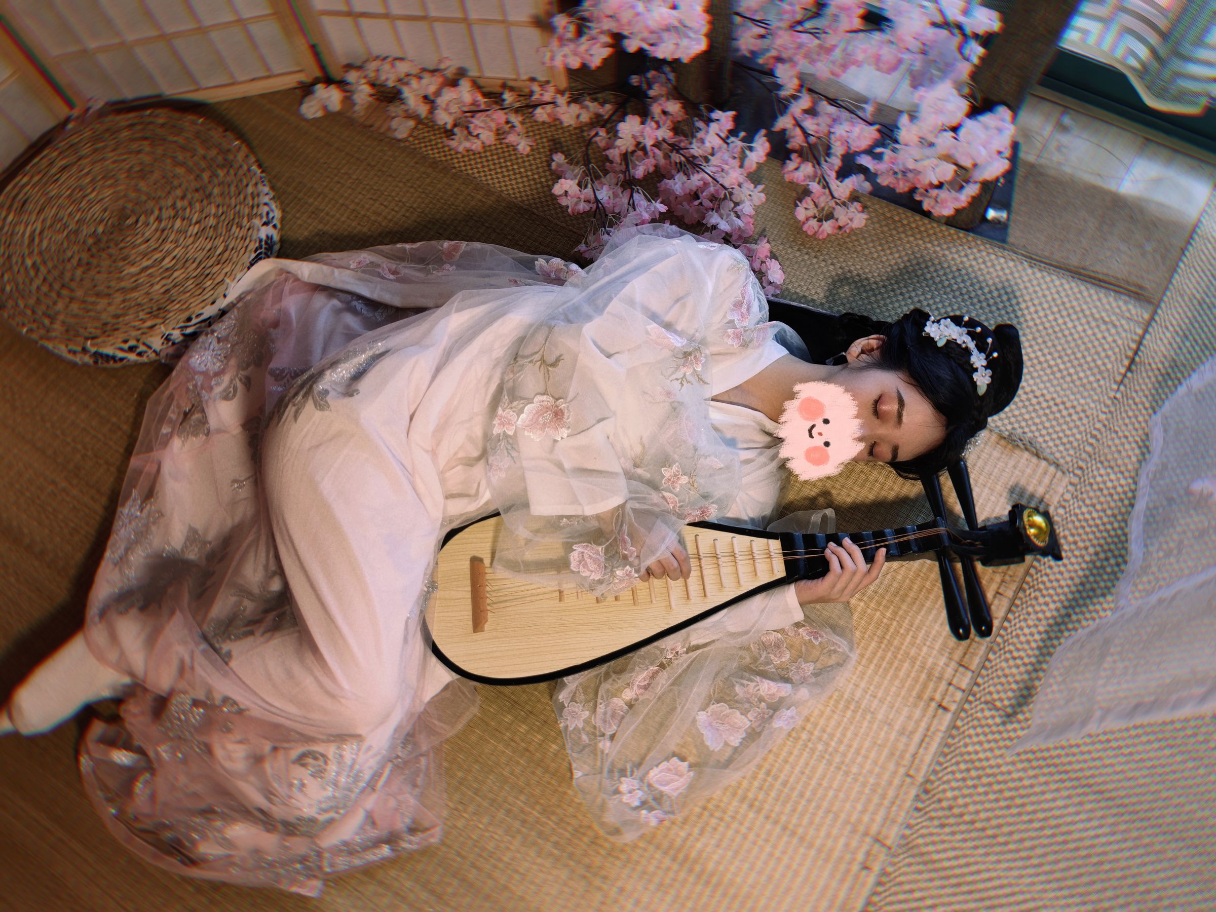 Janisa - 朝花向晚