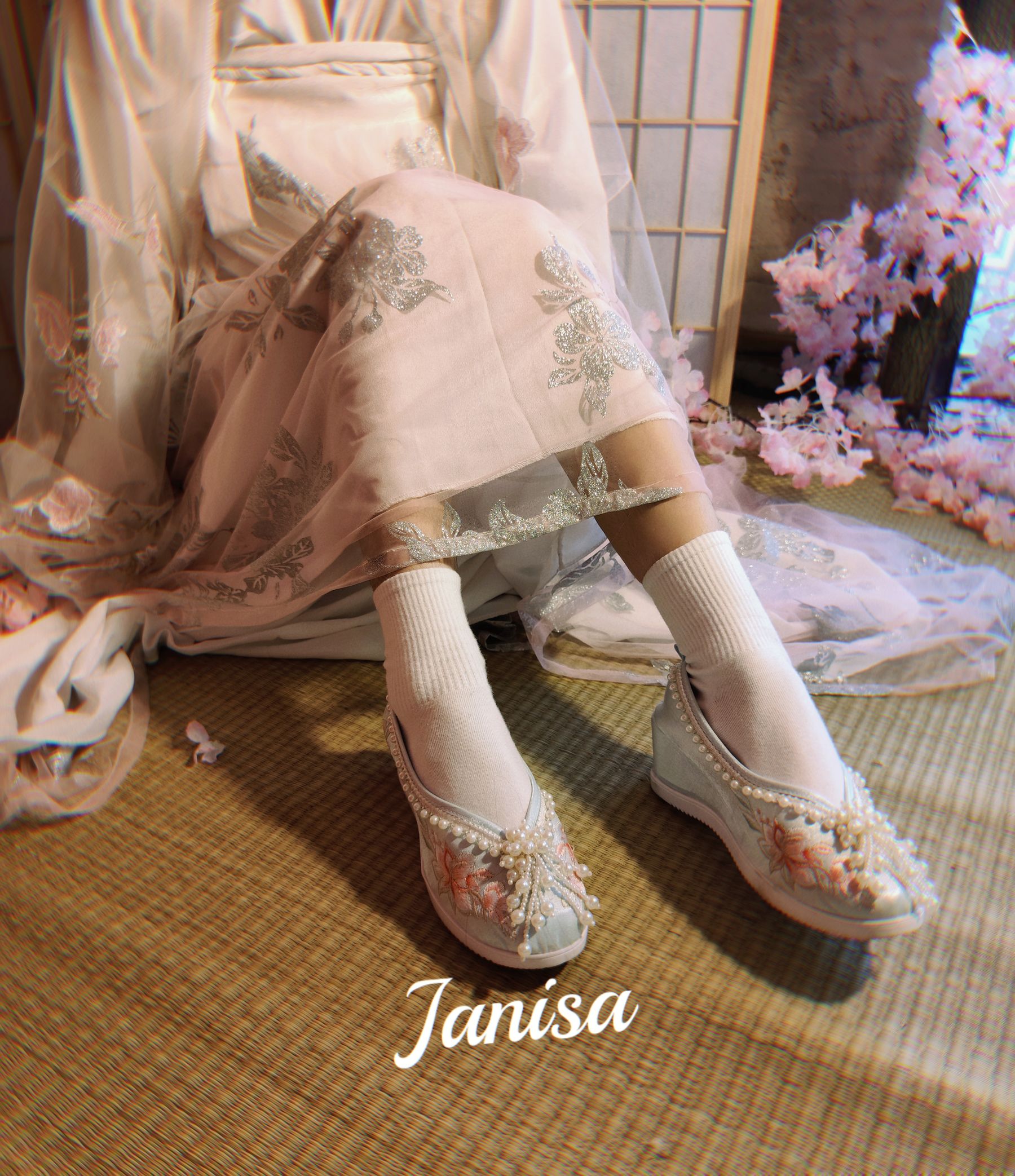Janisa - 朝花向晚