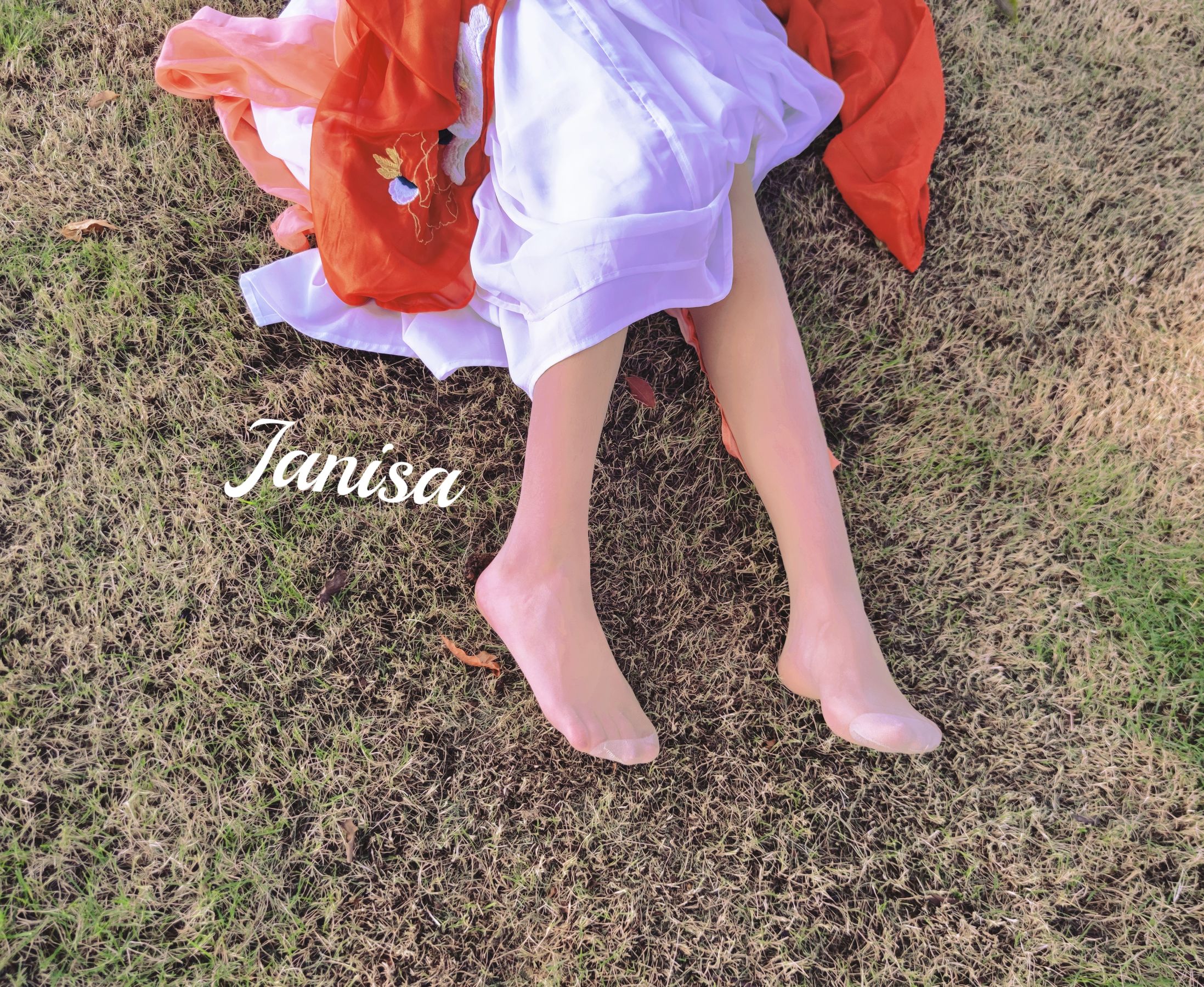 Janisa - 一花一世界