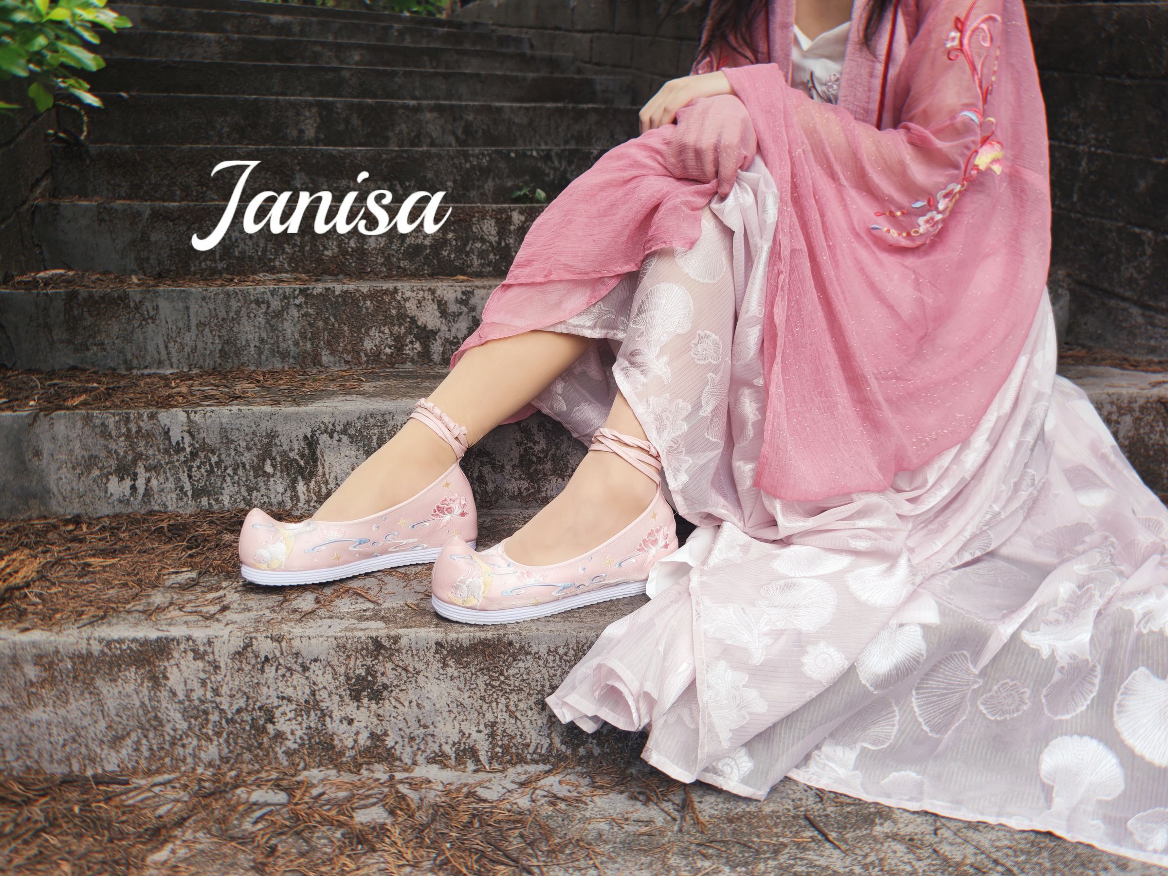 Janisa - 云想衣裳