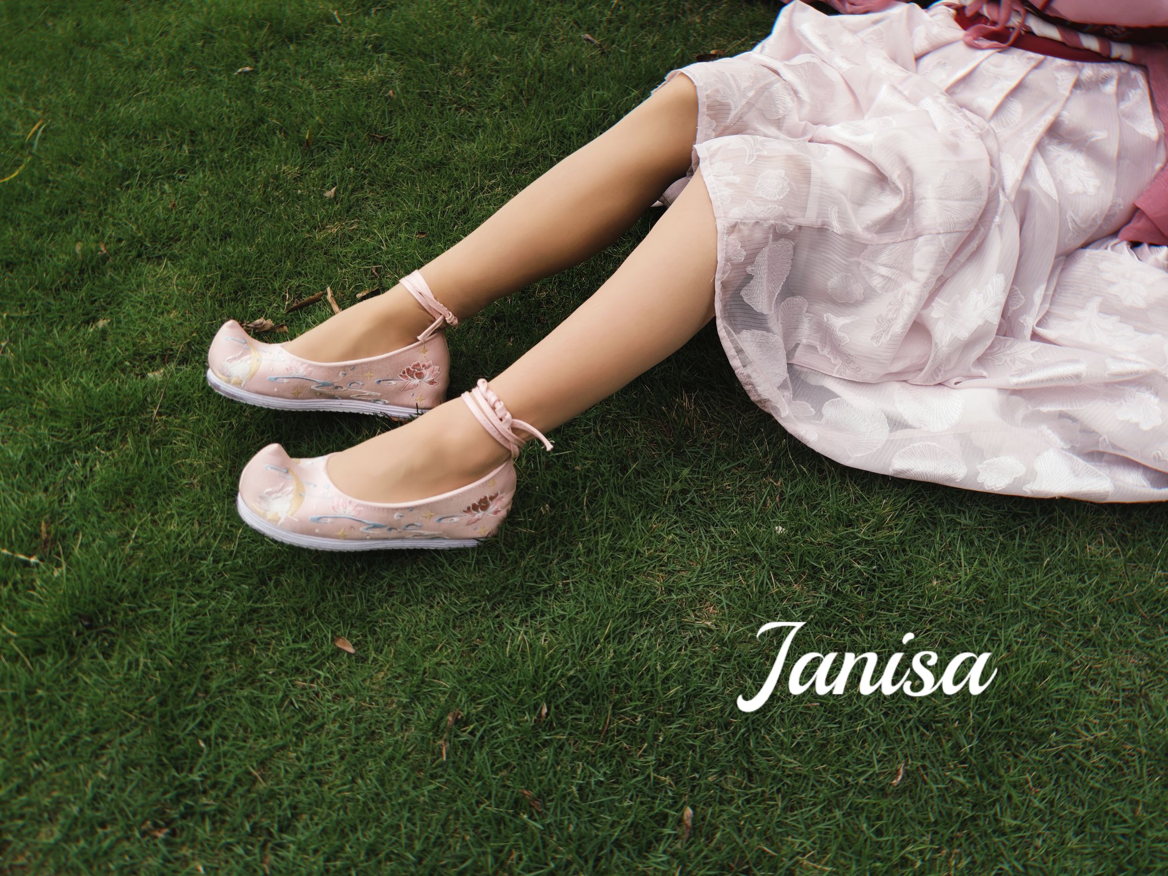Janisa - 云想衣裳