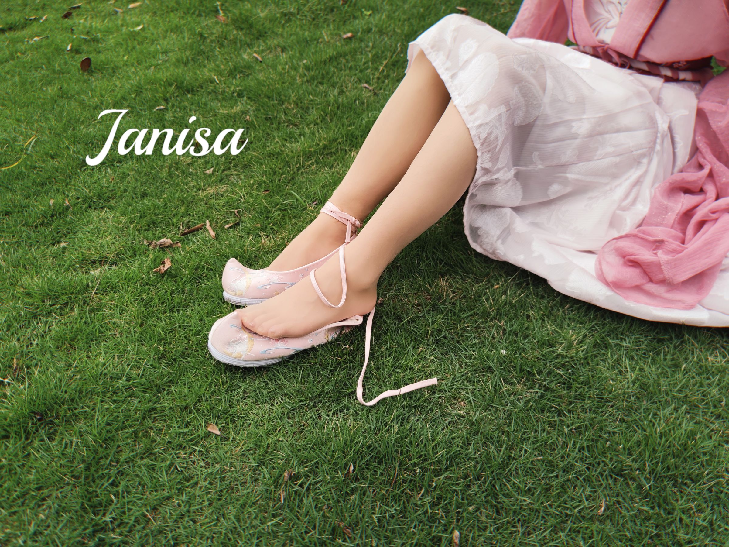 Janisa - 云想衣裳