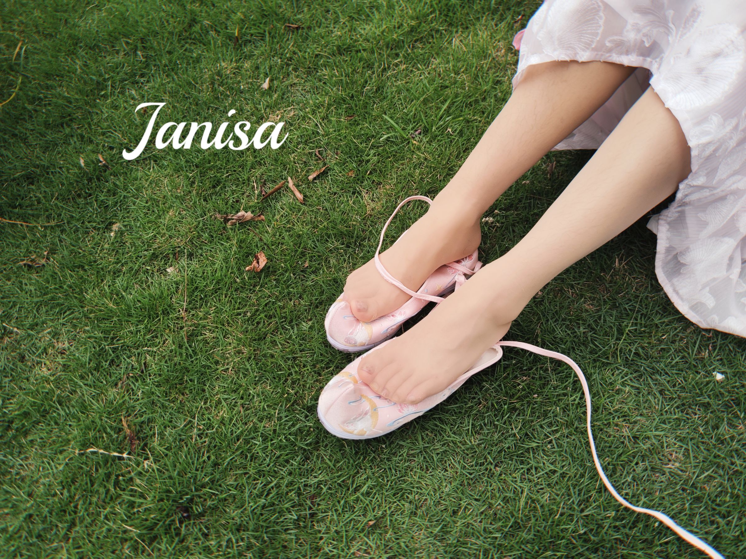 Janisa - 云想衣裳