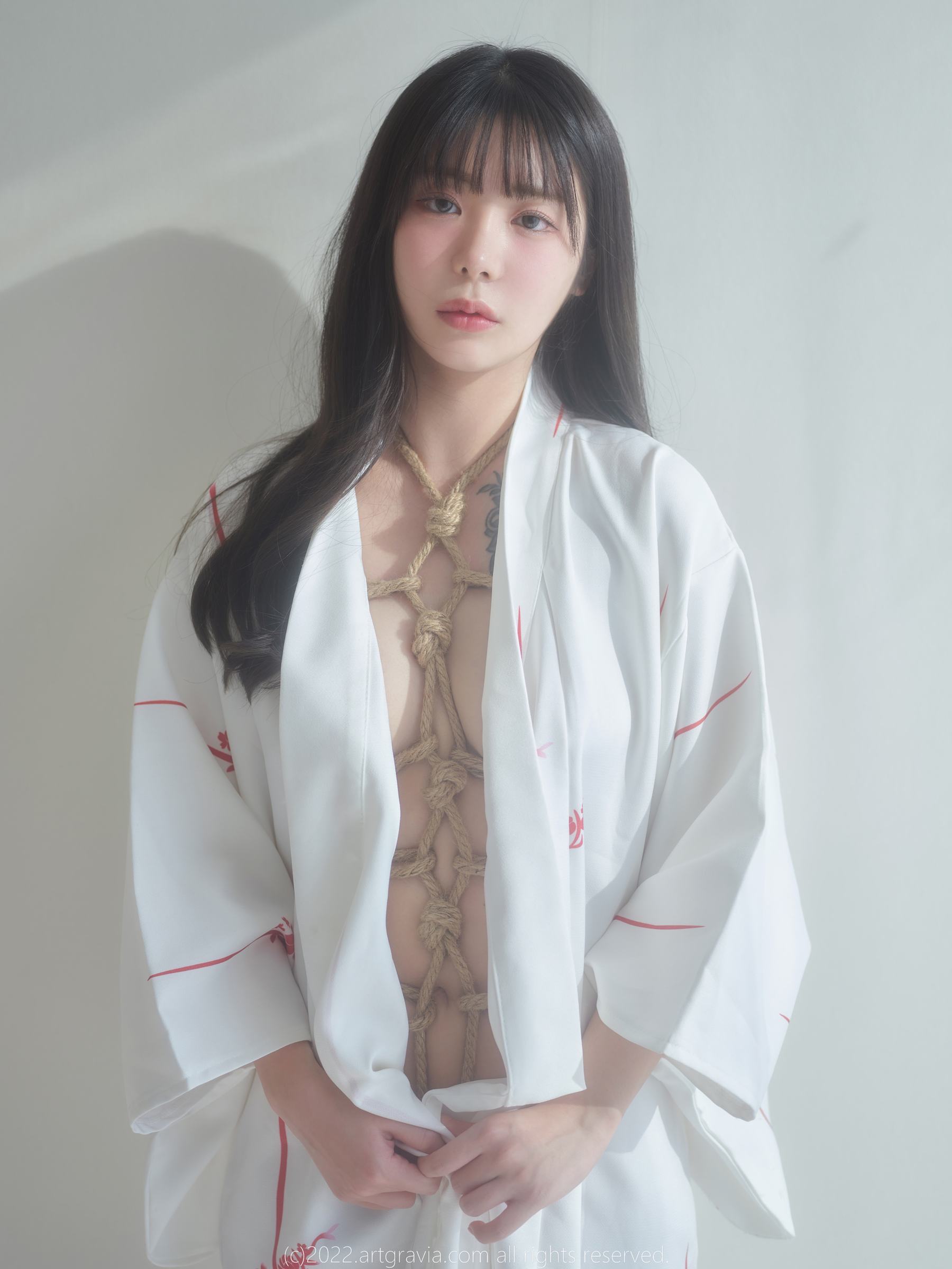 [ARTGRAVIA] VOL.464 Wuyo