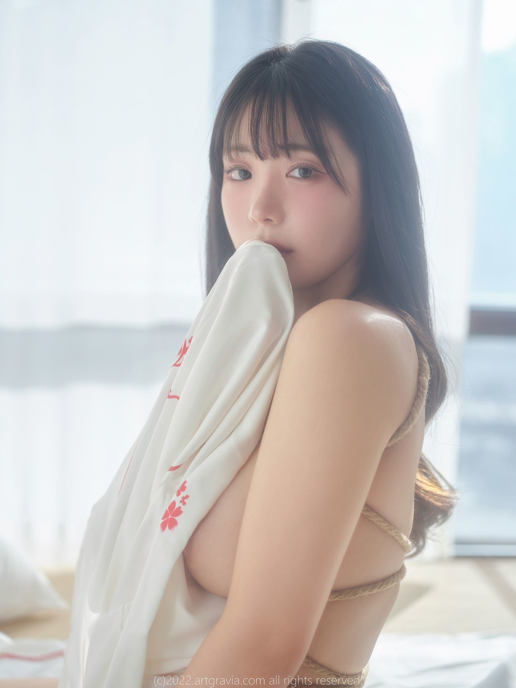 [ARTGRAVIA] VOL.464 Wuyo