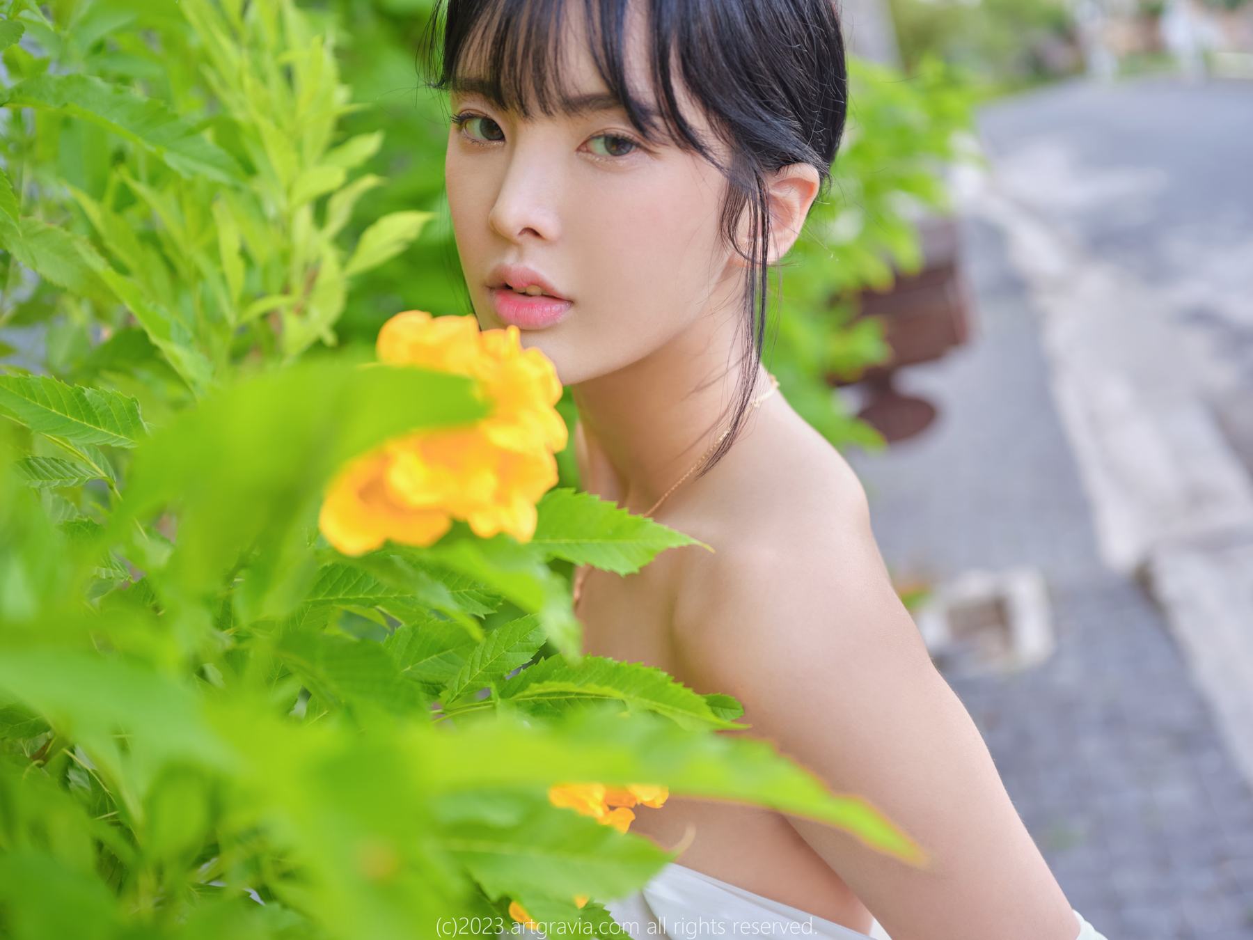 [ARTGRAVIA] VOL.511 美女