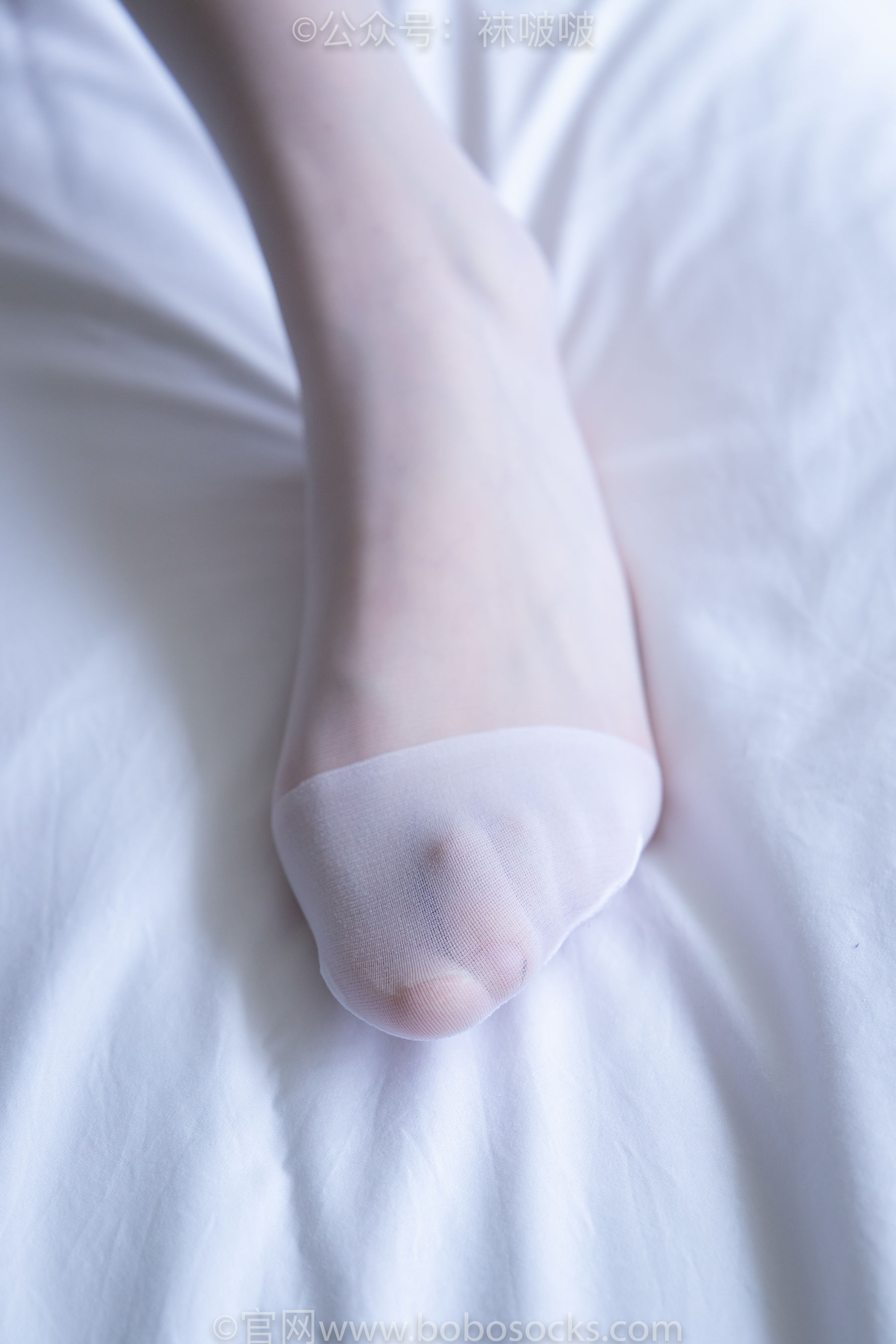 BoBoSocks袜啵啵 No.005 小甜豆-帆布鞋、薄白丝
