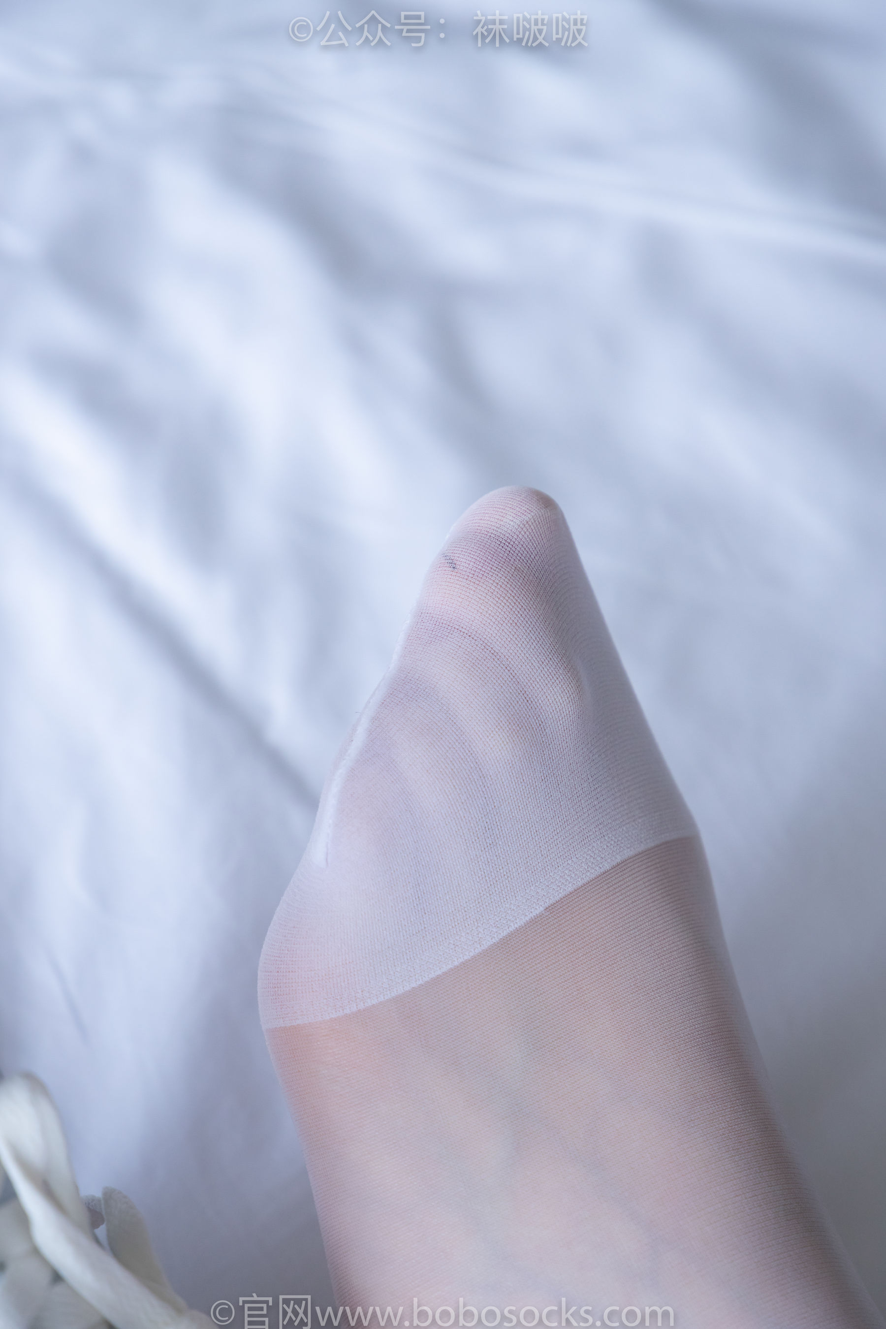 BoBoSocks袜啵啵 No.005 小甜豆-帆布鞋、薄白丝