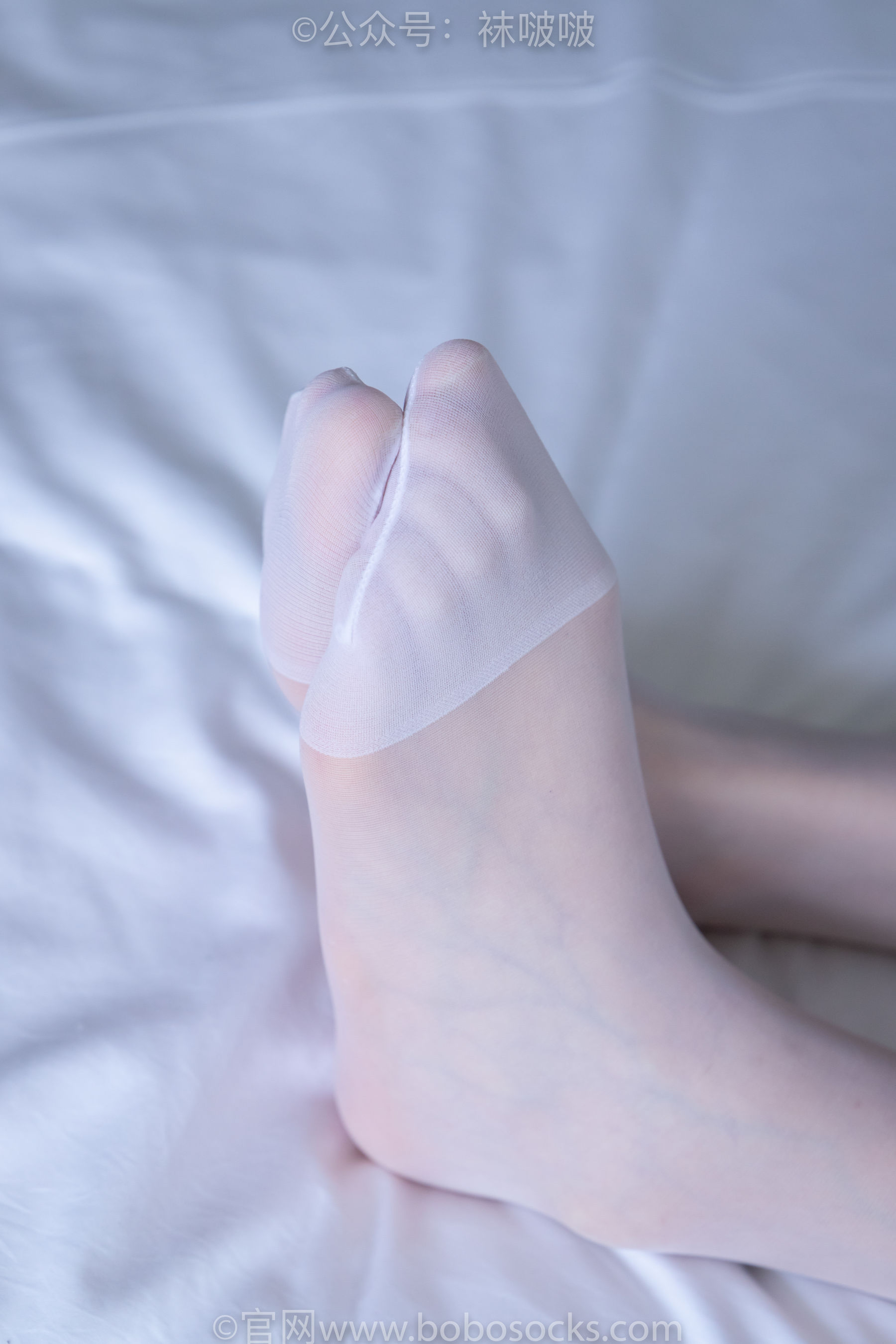 BoBoSocks袜啵啵 No.005 小甜豆-帆布鞋、薄白丝