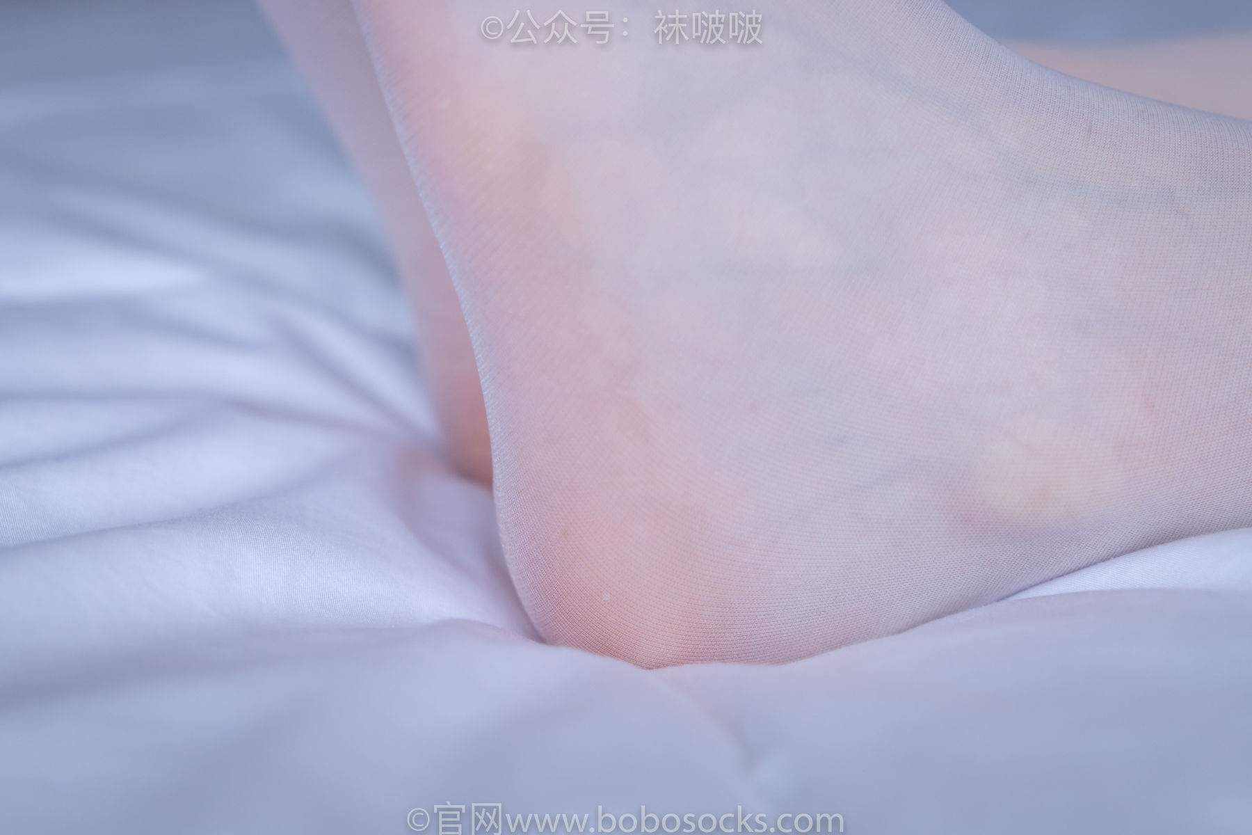 BoBoSocks袜啵啵 No.005 小甜豆-帆布鞋、薄白丝