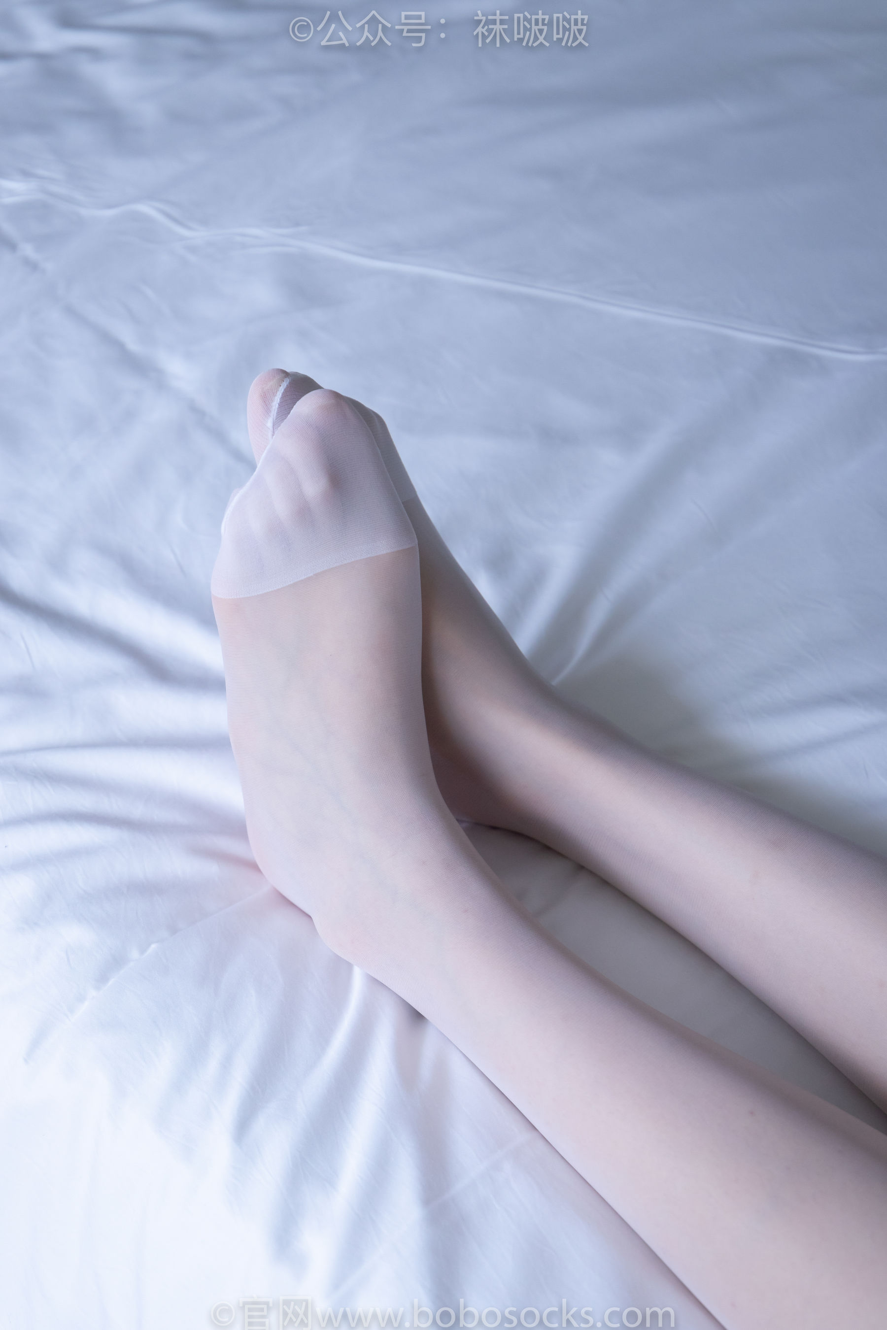 BoBoSocks袜啵啵 No.005 小甜豆-帆布鞋、薄白丝