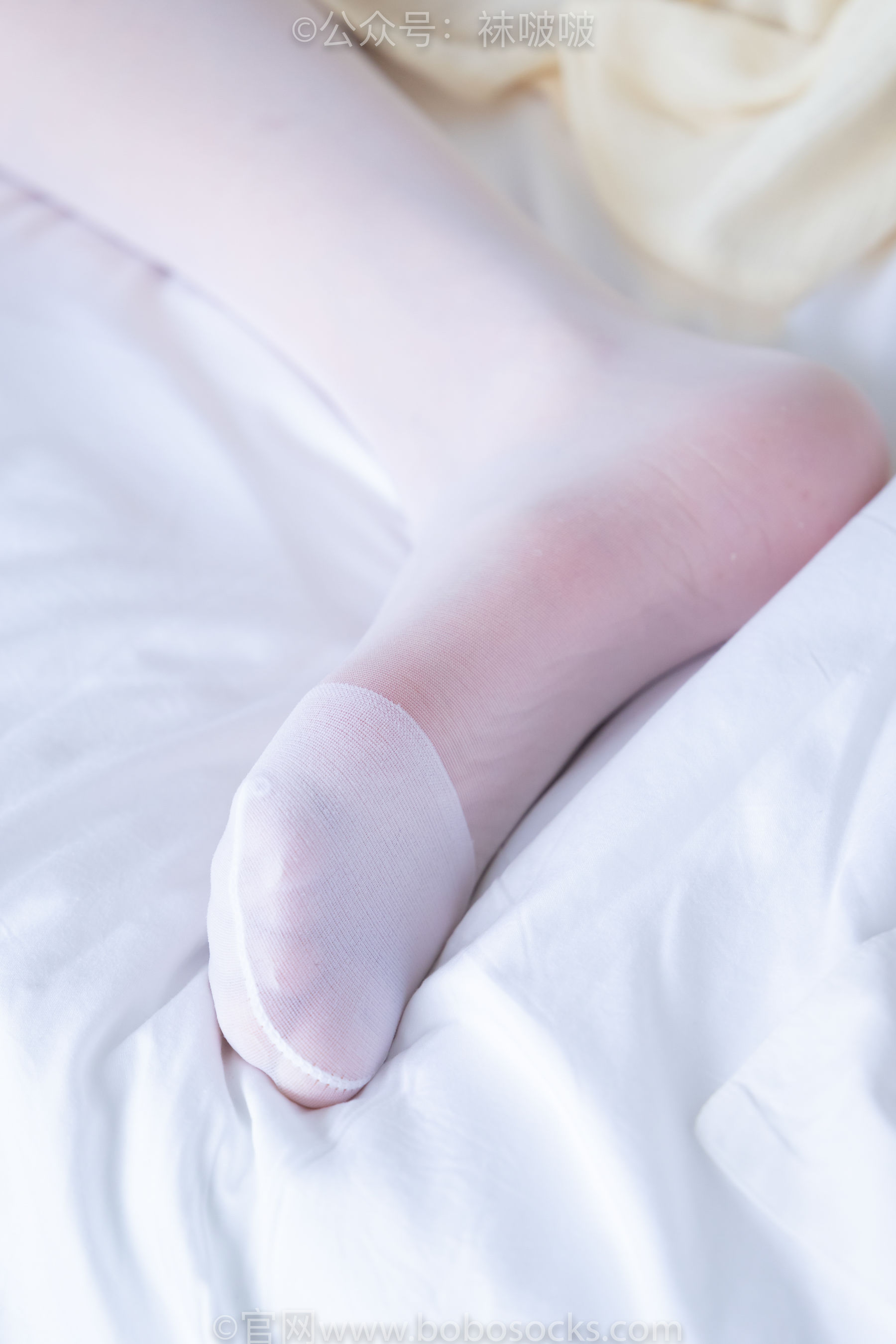 BoBoSocks袜啵啵 No.005 小甜豆-帆布鞋、薄白丝