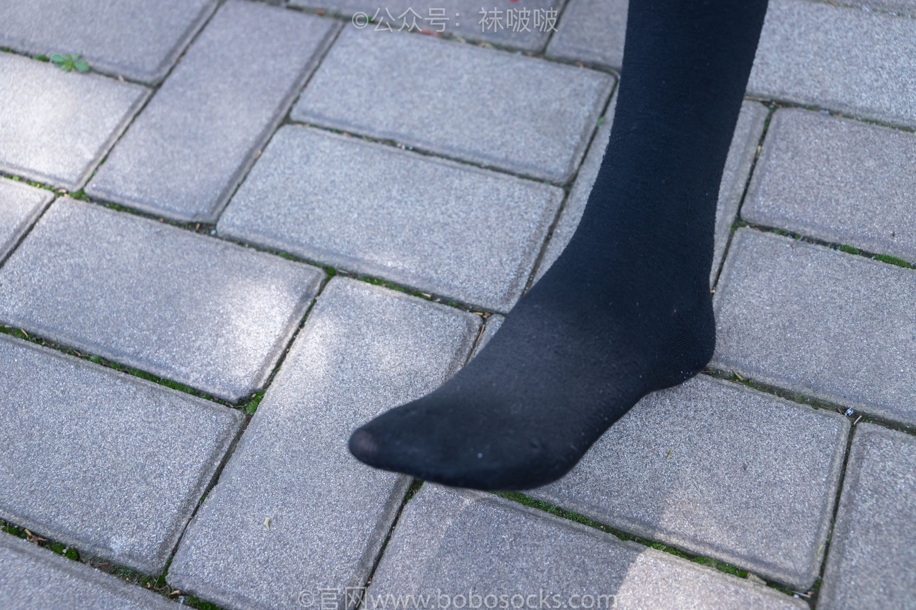 BoBoSocks袜啵啵 No.007 稚予-JK制服、皮鞋、黑色中筒棉袜、肉丝