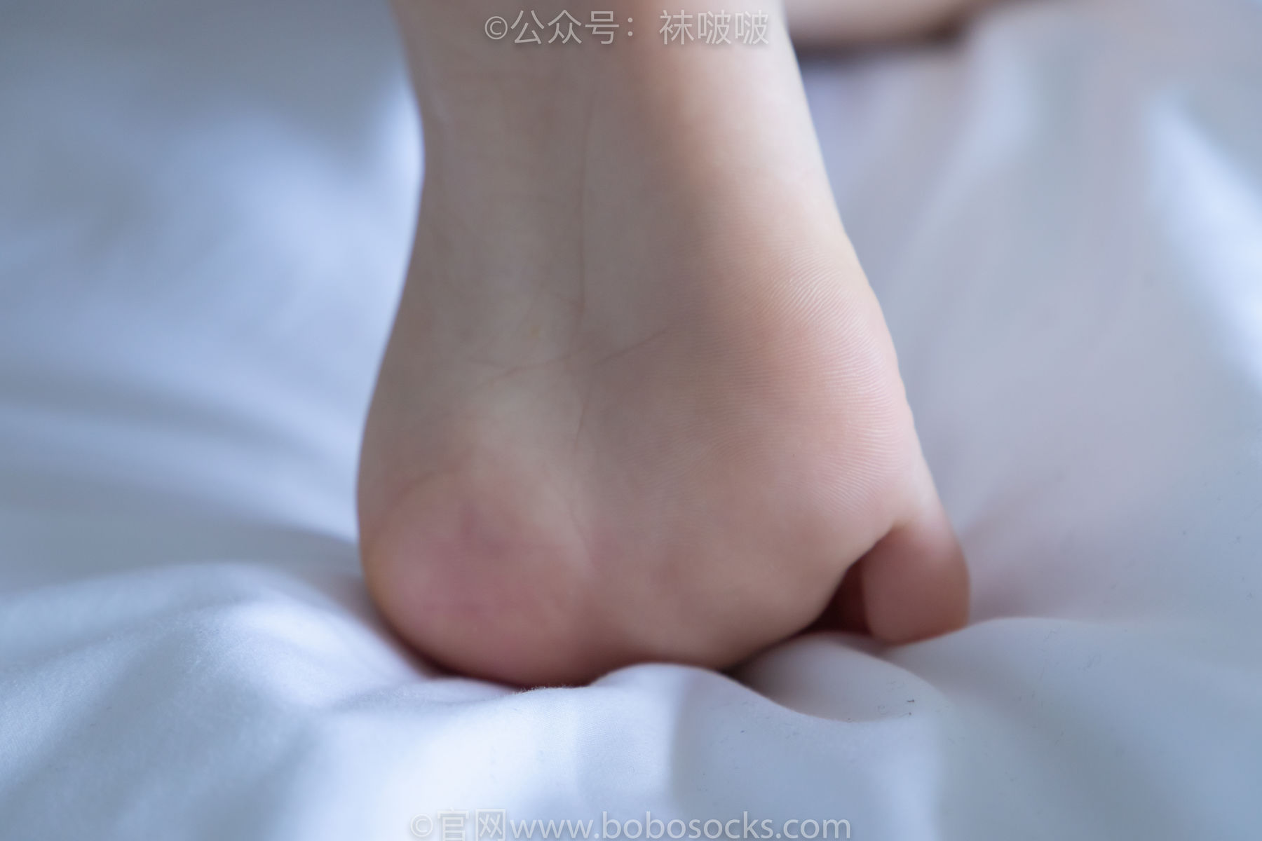 BoBoSocks袜啵啵 No.009 果冻-耐克板鞋、白棉袜、裸足