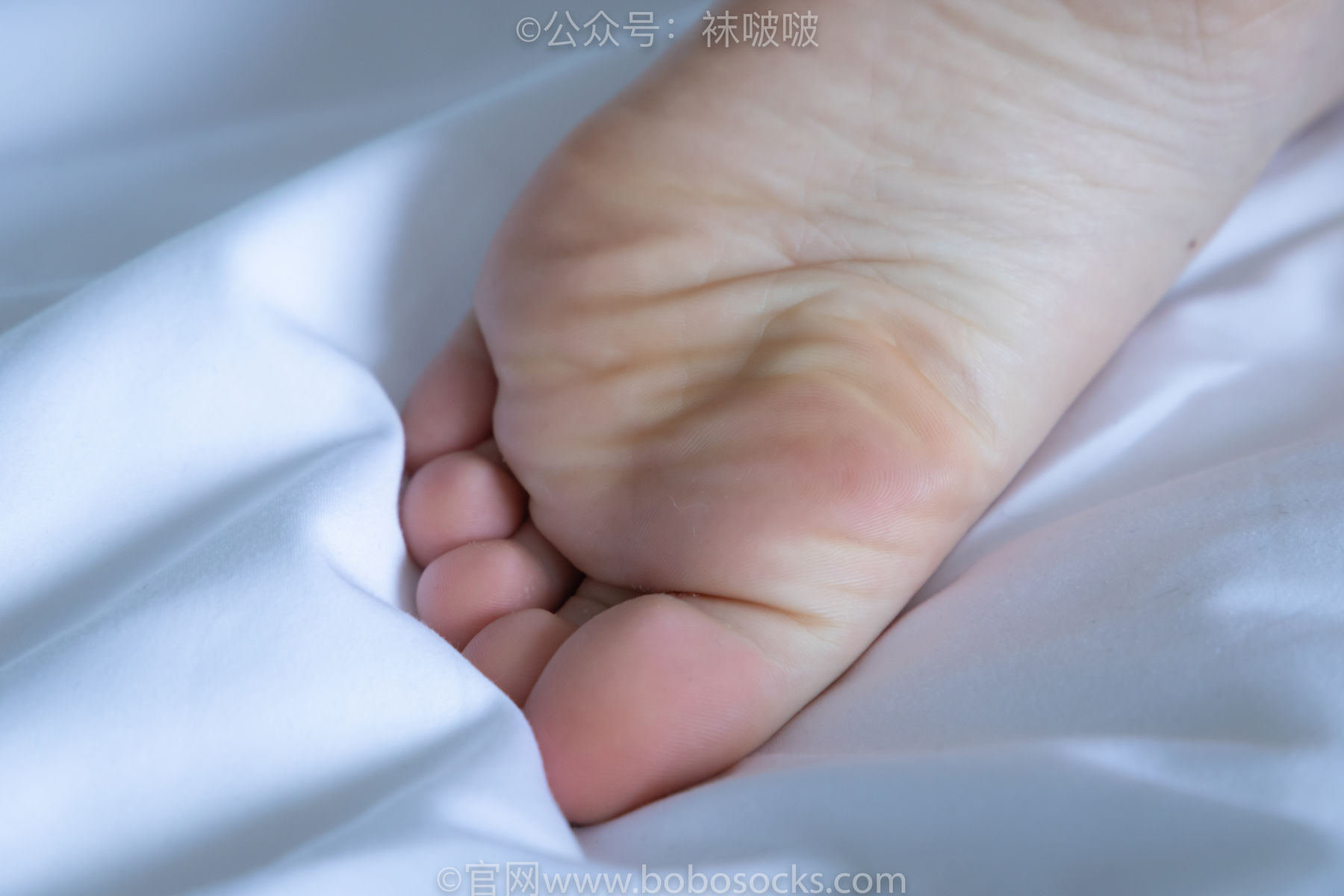 BoBoSocks袜啵啵 No.009 果冻-耐克板鞋、白棉袜、裸足