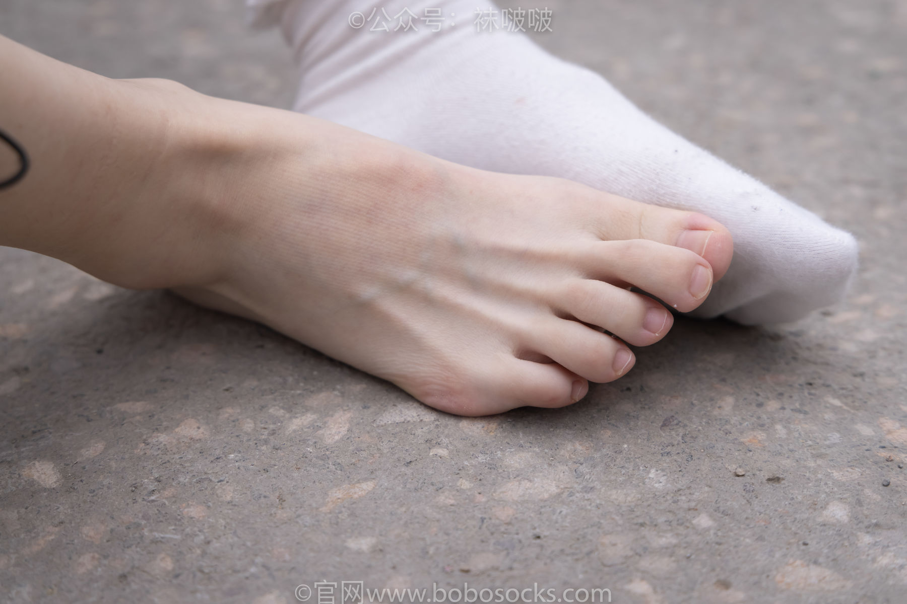 BoBoSocks袜啵啵 No.016 熊熊-斯凯奇运动鞋、棉袜、裸足