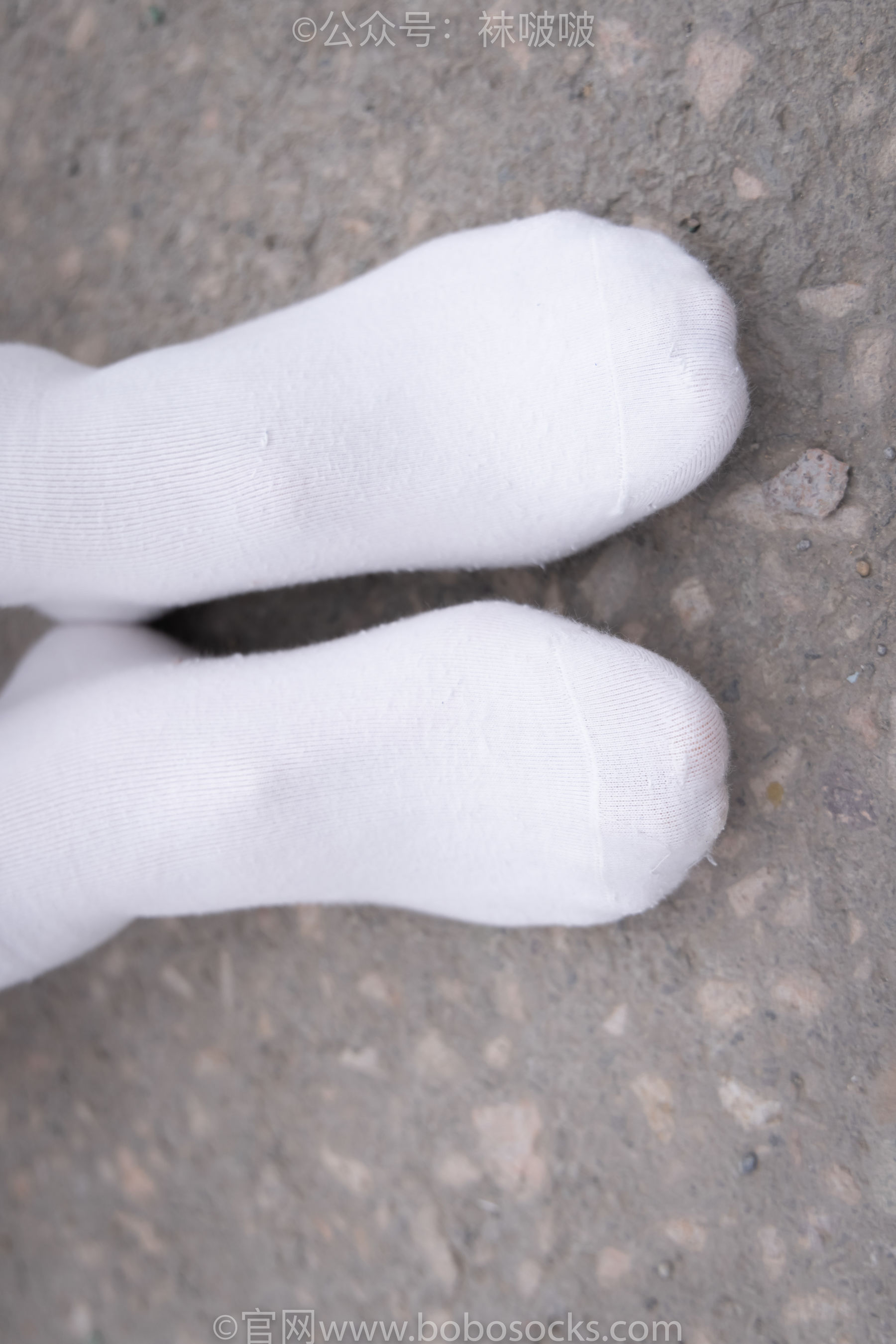 BoBoSocks袜啵啵 No.016 熊熊-斯凯奇运动鞋、棉袜、裸足