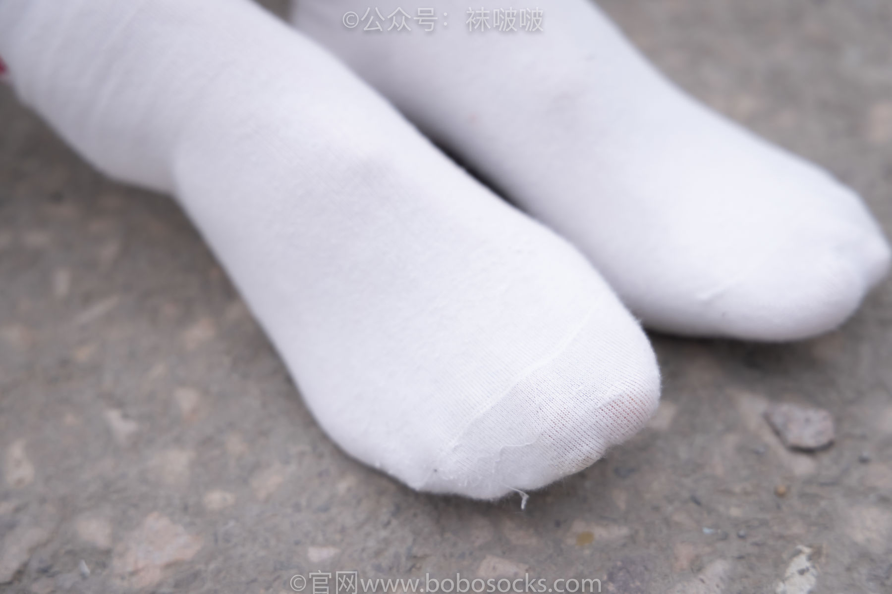 BoBoSocks袜啵啵 No.016 熊熊-斯凯奇运动鞋、棉袜、裸足