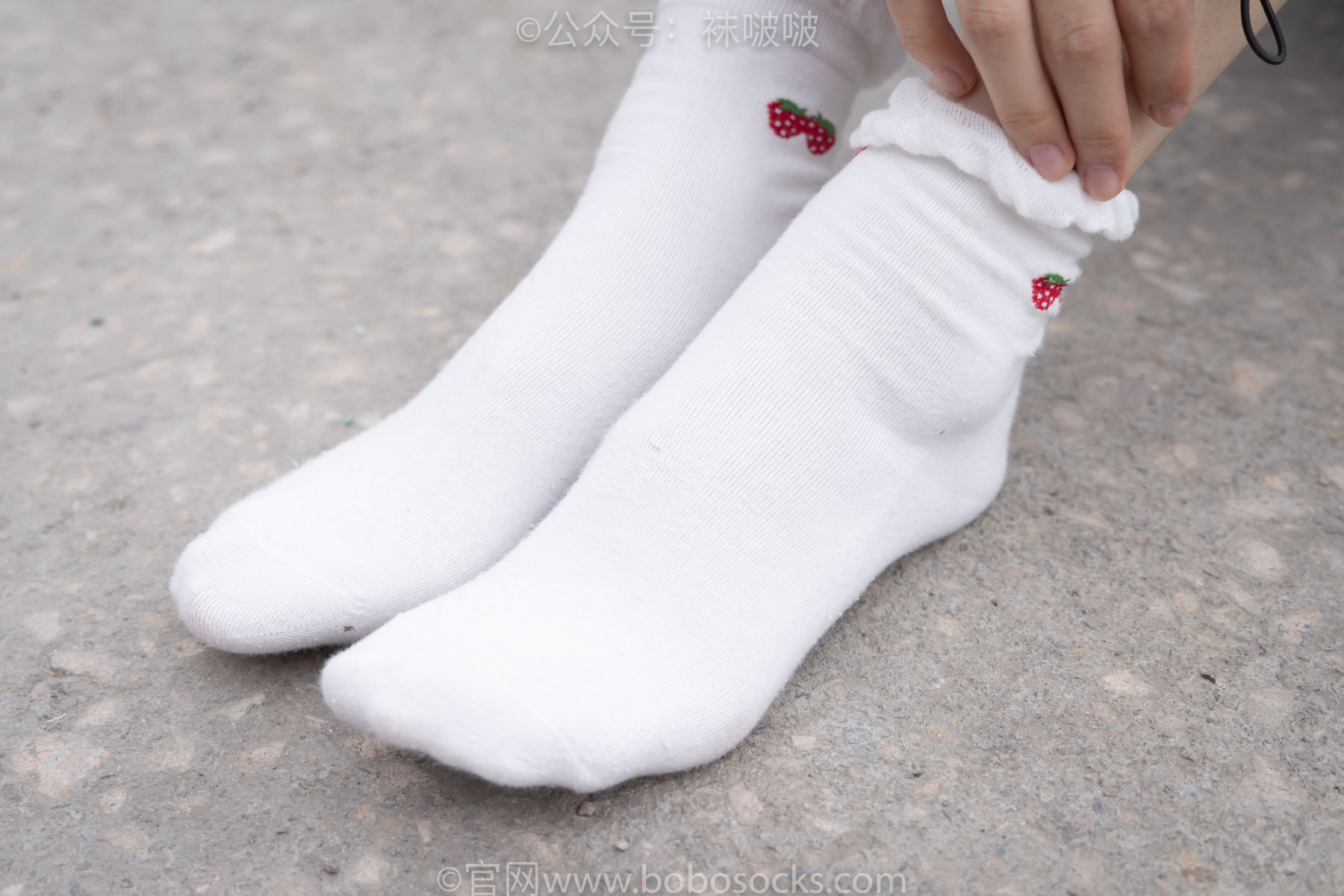 BoBoSocks袜啵啵 No.016 熊熊-斯凯奇运动鞋、棉袜、裸足