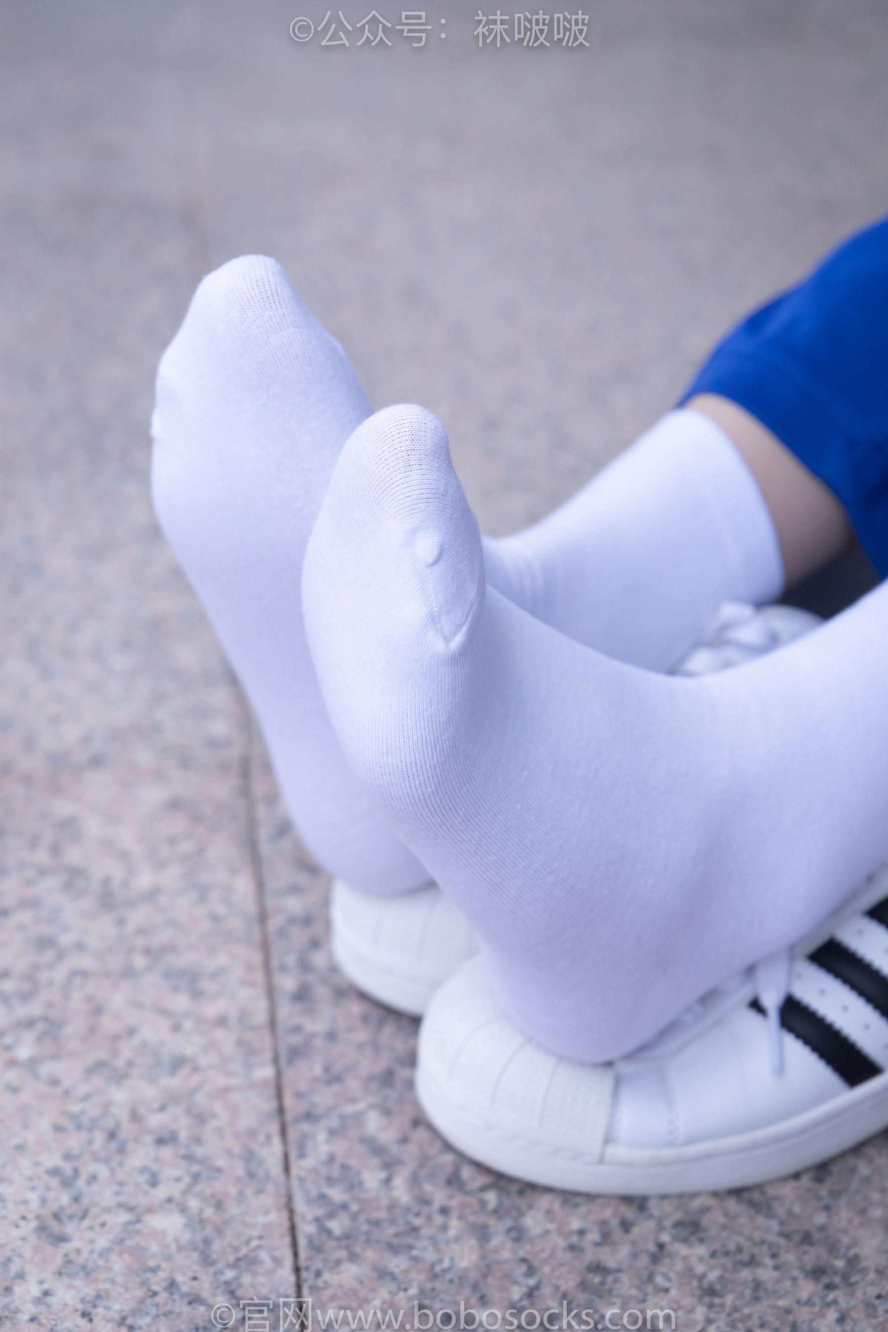 BoBoSocks袜啵啵 No.022 小甜豆-校服、贝壳头、白棉袜、肉丝