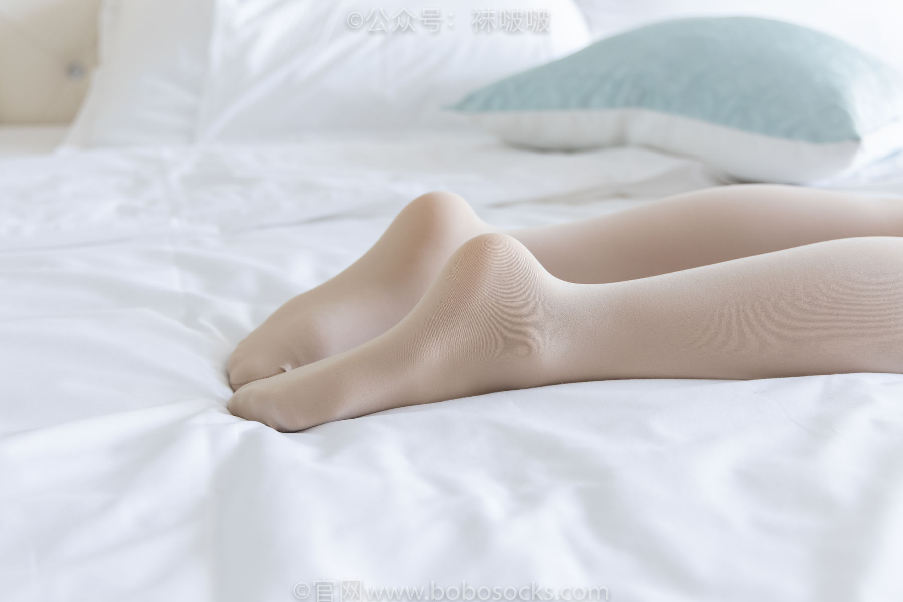 BoBoSocks袜啵啵 No.031 小奶熊-AJ板鞋、白棉袜、厚肉丝