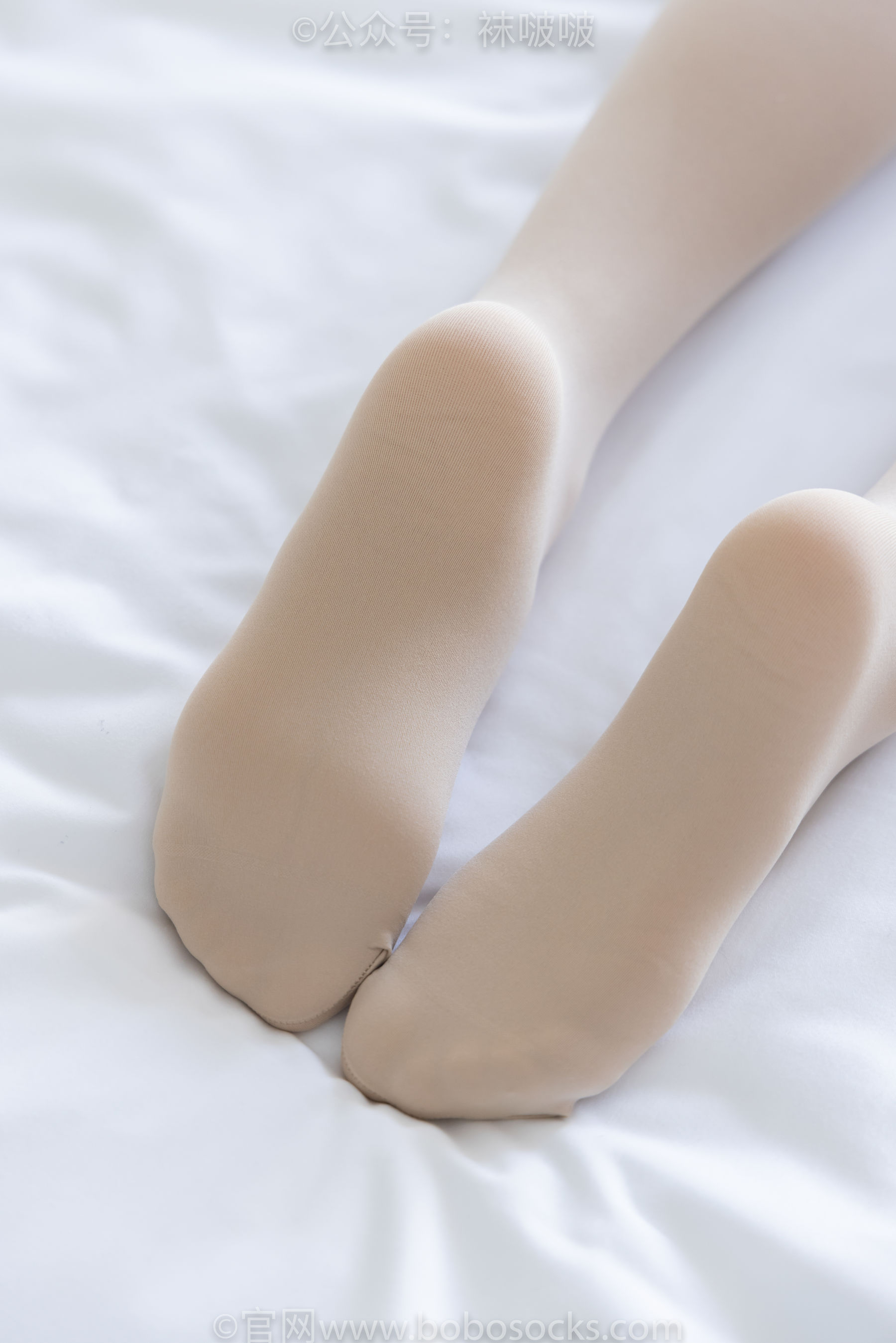 BoBoSocks袜啵啵 No.031 小奶熊-AJ板鞋、白棉袜、厚肉丝