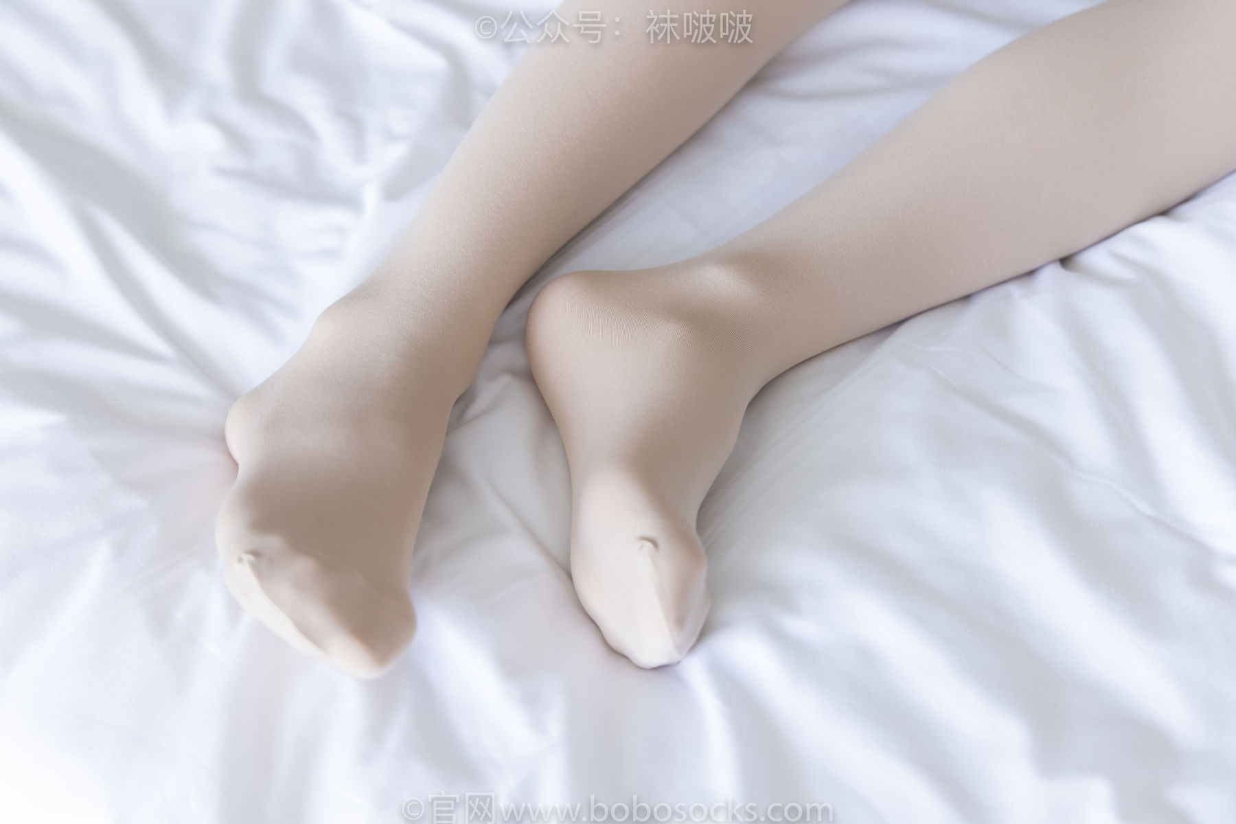 BoBoSocks袜啵啵 No.031 小奶熊-AJ板鞋、白棉袜、厚肉丝