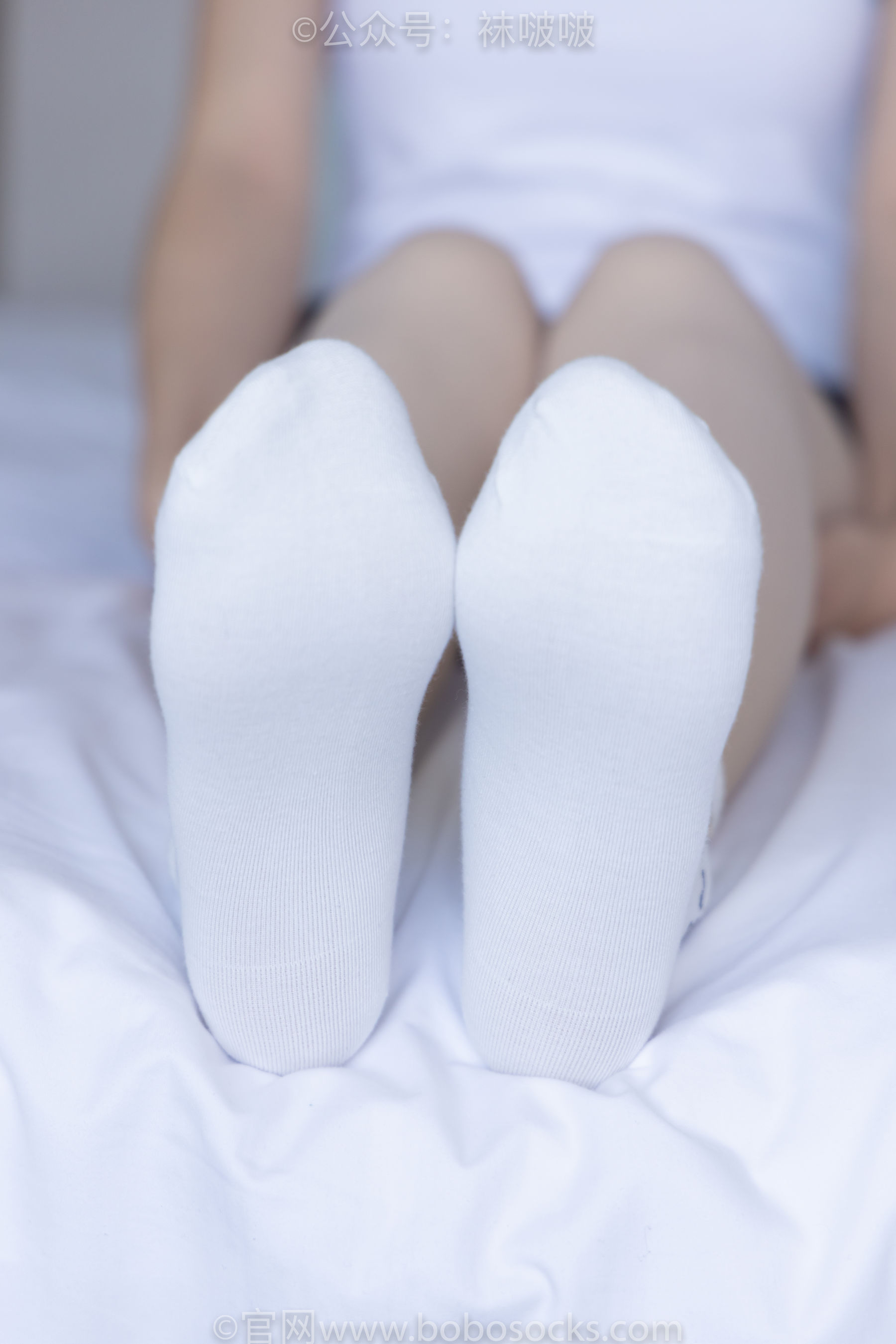 BoBoSocks袜啵啵 No.031 小奶熊-AJ板鞋、白棉袜、厚肉丝