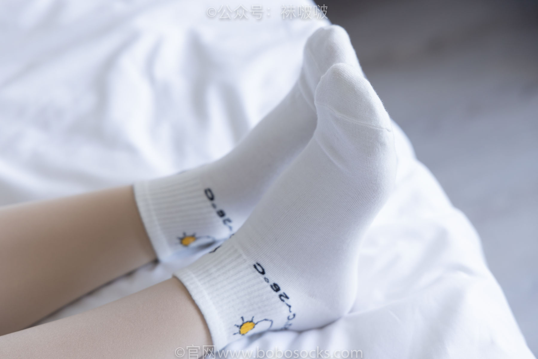 BoBoSocks袜啵啵 No.031 小奶熊-AJ板鞋、白棉袜、厚肉丝