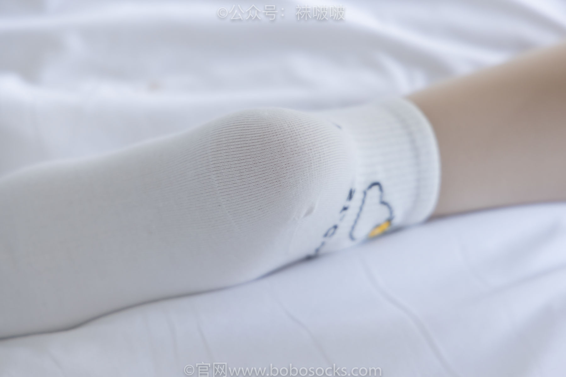 BoBoSocks袜啵啵 No.031 小奶熊-AJ板鞋、白棉袜、厚肉丝