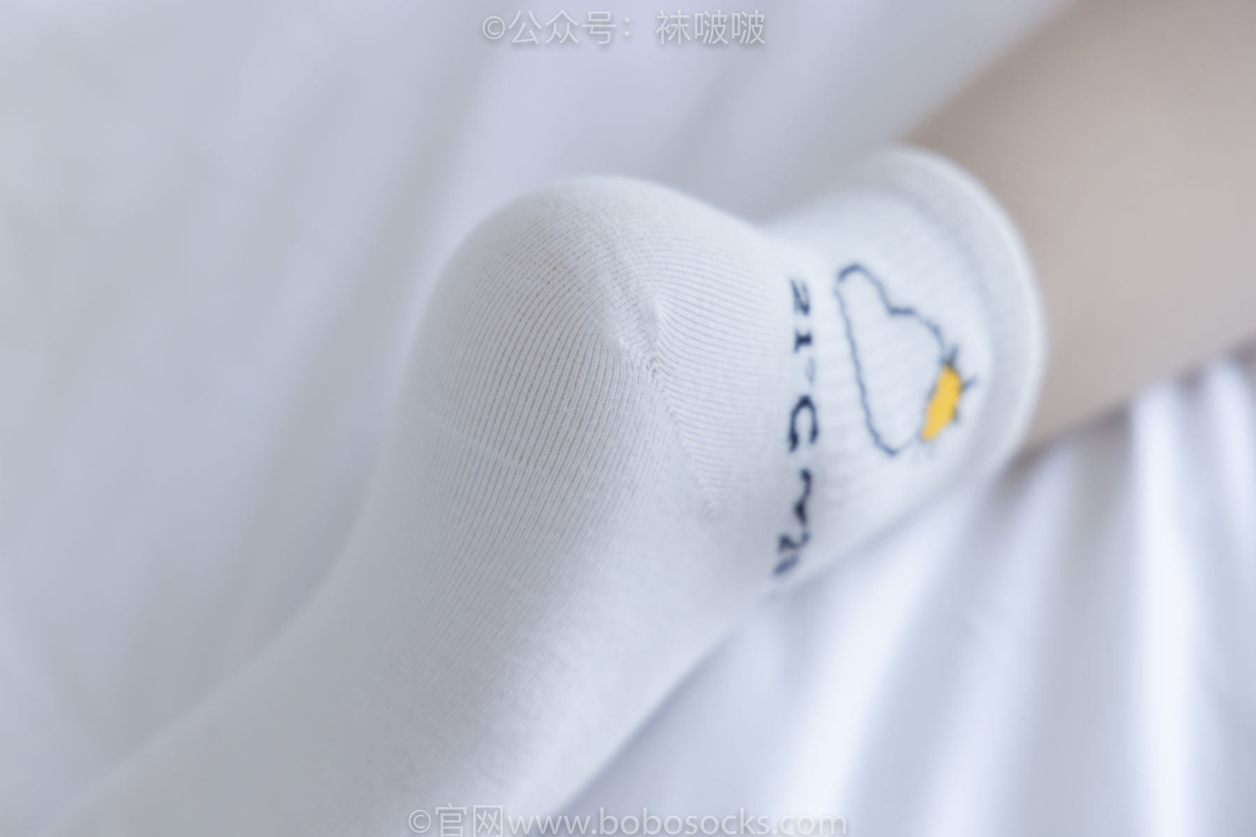 BoBoSocks袜啵啵 No.031 小奶熊-AJ板鞋、白棉袜、厚肉丝
